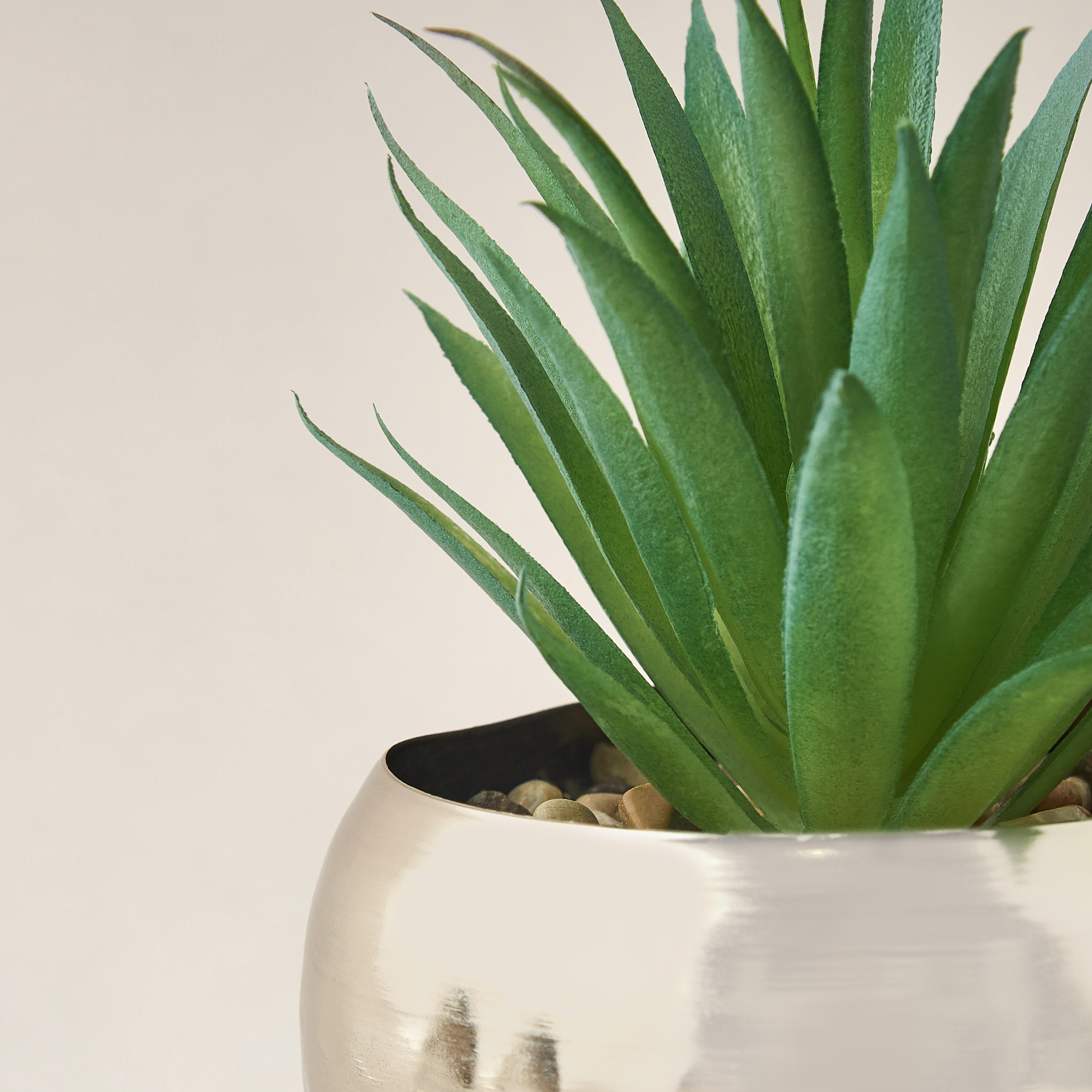 Decorative Plant with Pot - 10x21 cms-household-gardenandoutdoor-artificialplants-succulents-image-2