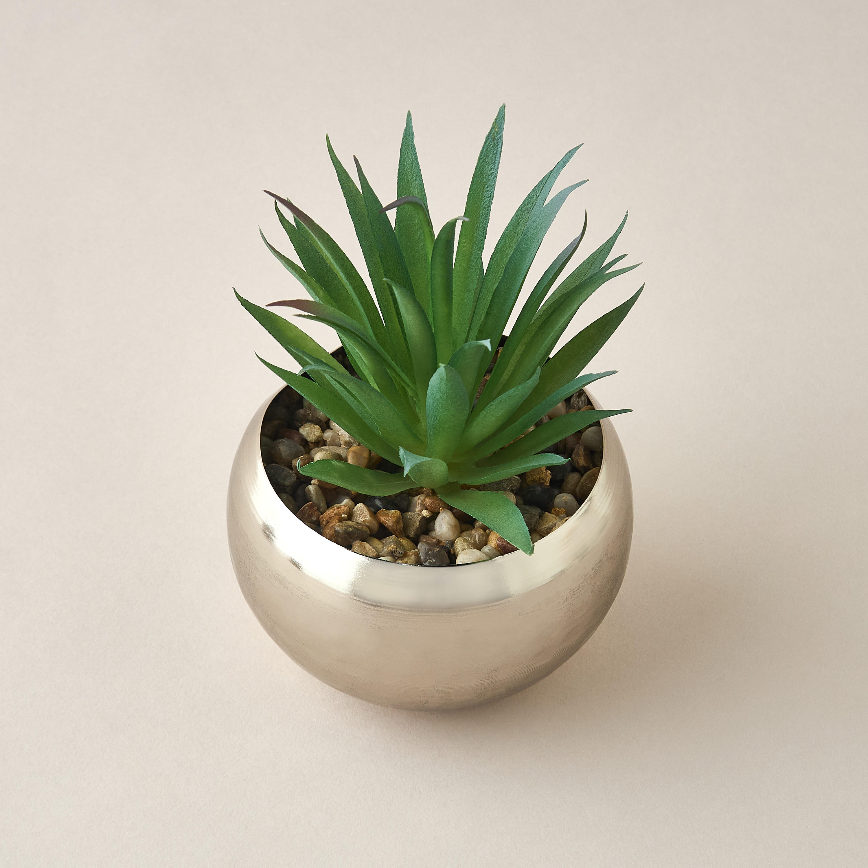 Decorative Plant with Pot - 10x21 cms-household-gardenandoutdoor-artificialplants-succulents-image-3