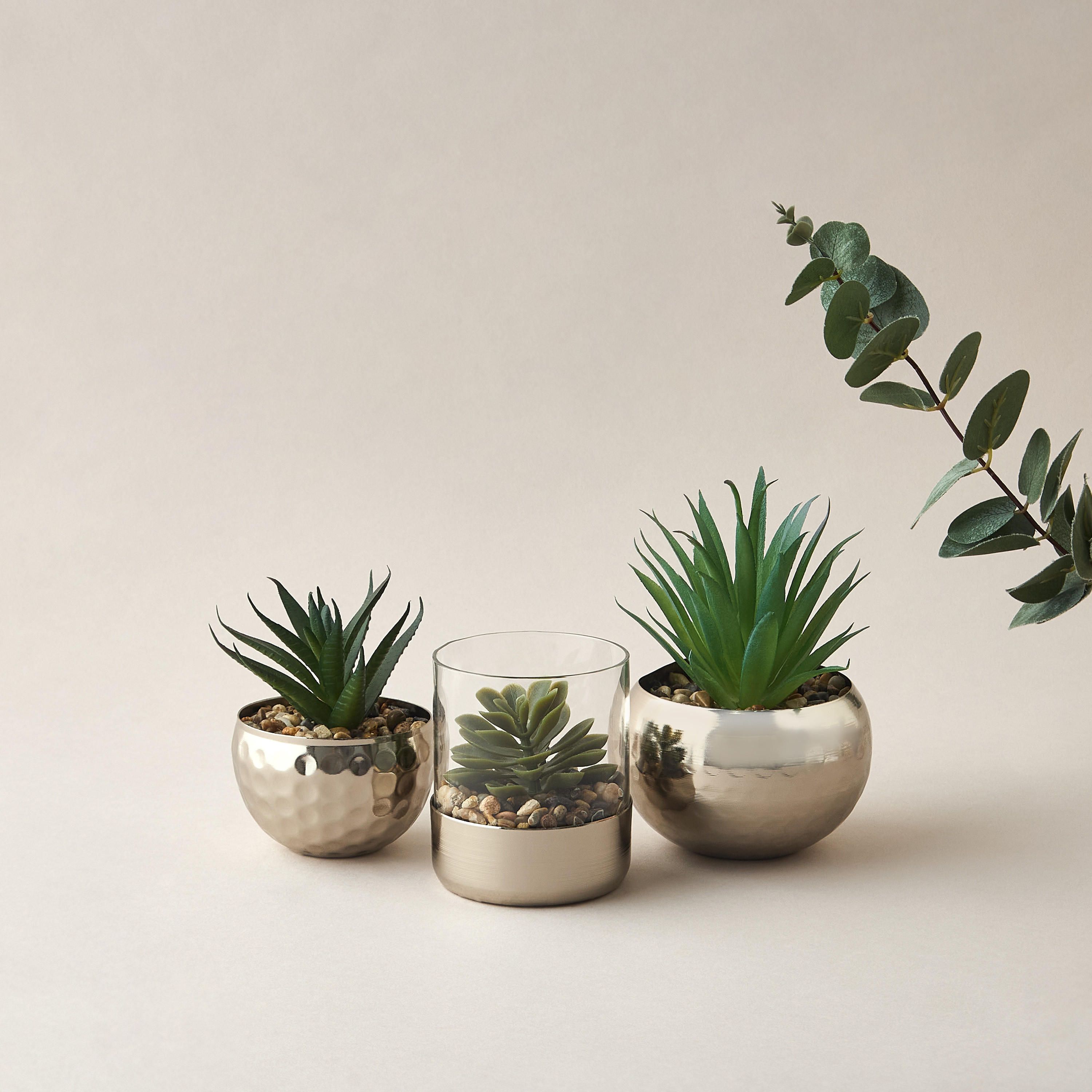 Decorative Plant with Pot - 10x21 cms-household-gardenandoutdoor-artificialplants-succulents-image-4