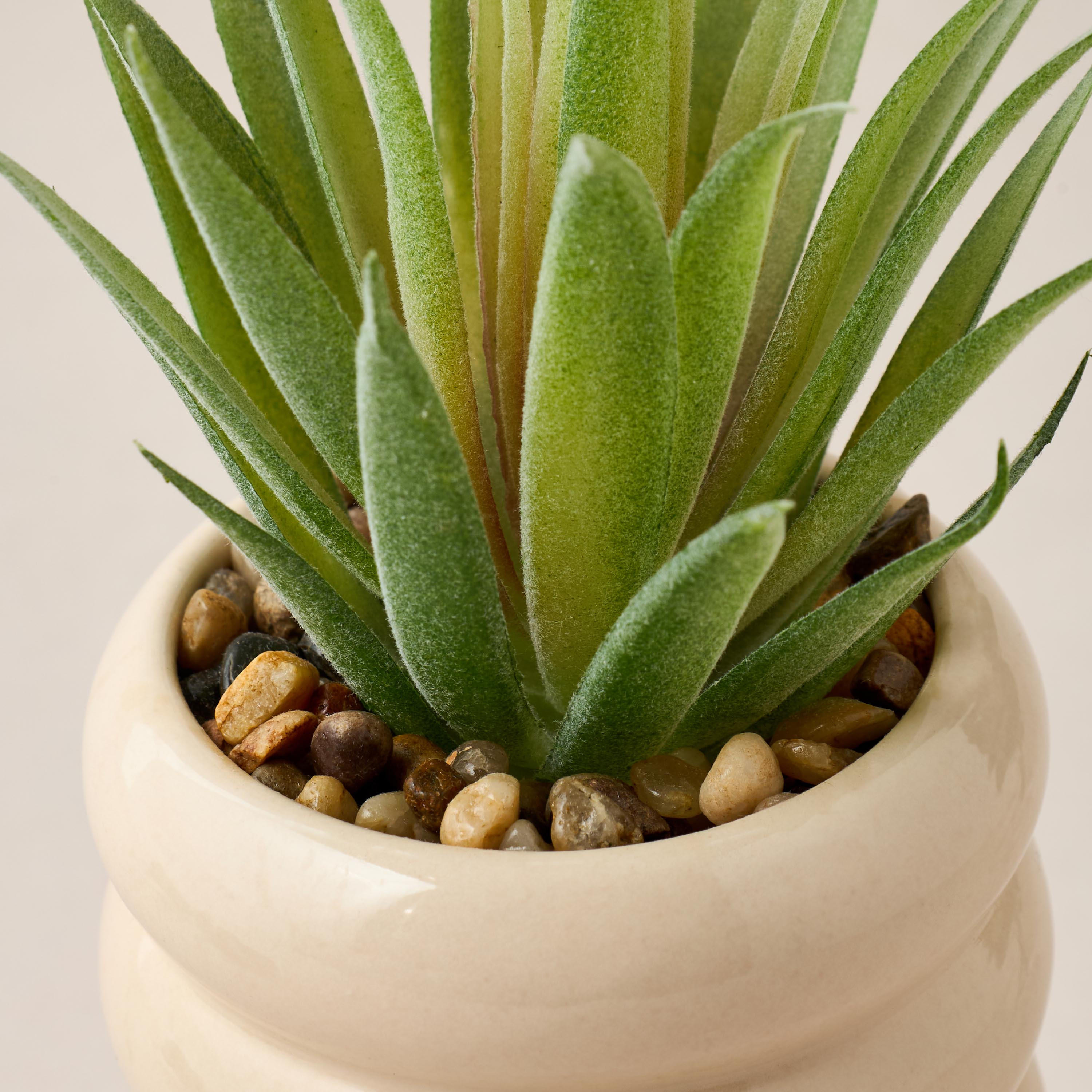 Decorative Ceramic Plant Stand - 8x13 cms-household-gardenandoutdoor-trellisandstands-plantrisers-image-4