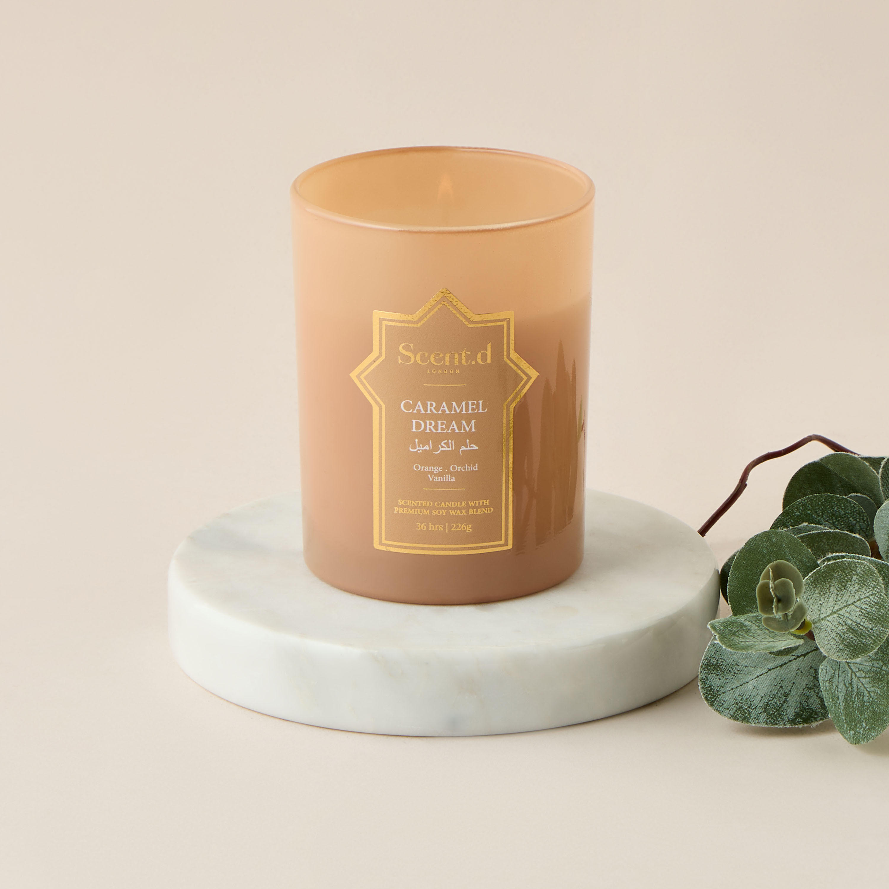 Scent.d London Celestial Breeze Scented Jar Candle - 226 gms-household-homefragrance-candles-image-1