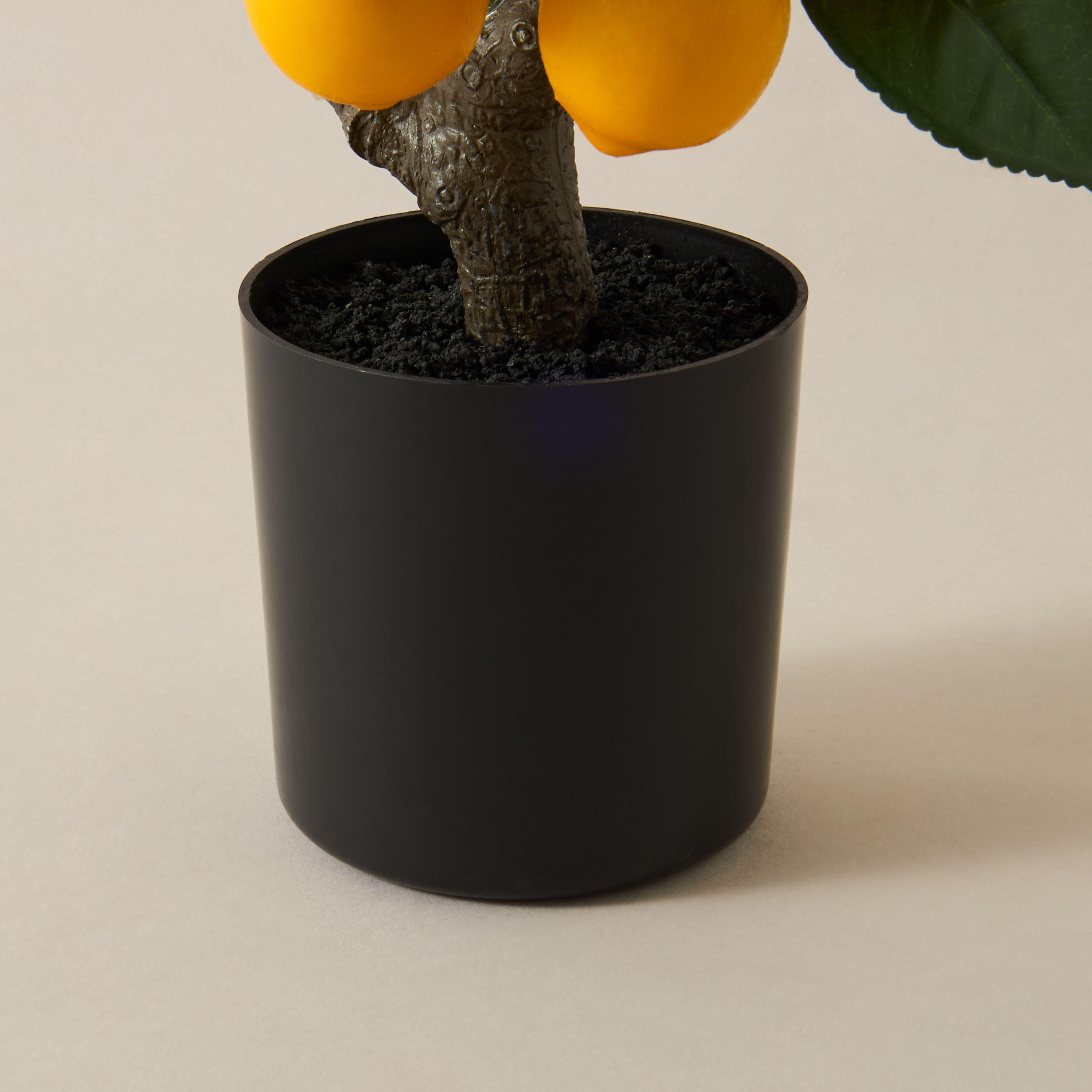 Decorative Lemon Tree-household-gardenandoutdoor-trees-image-4