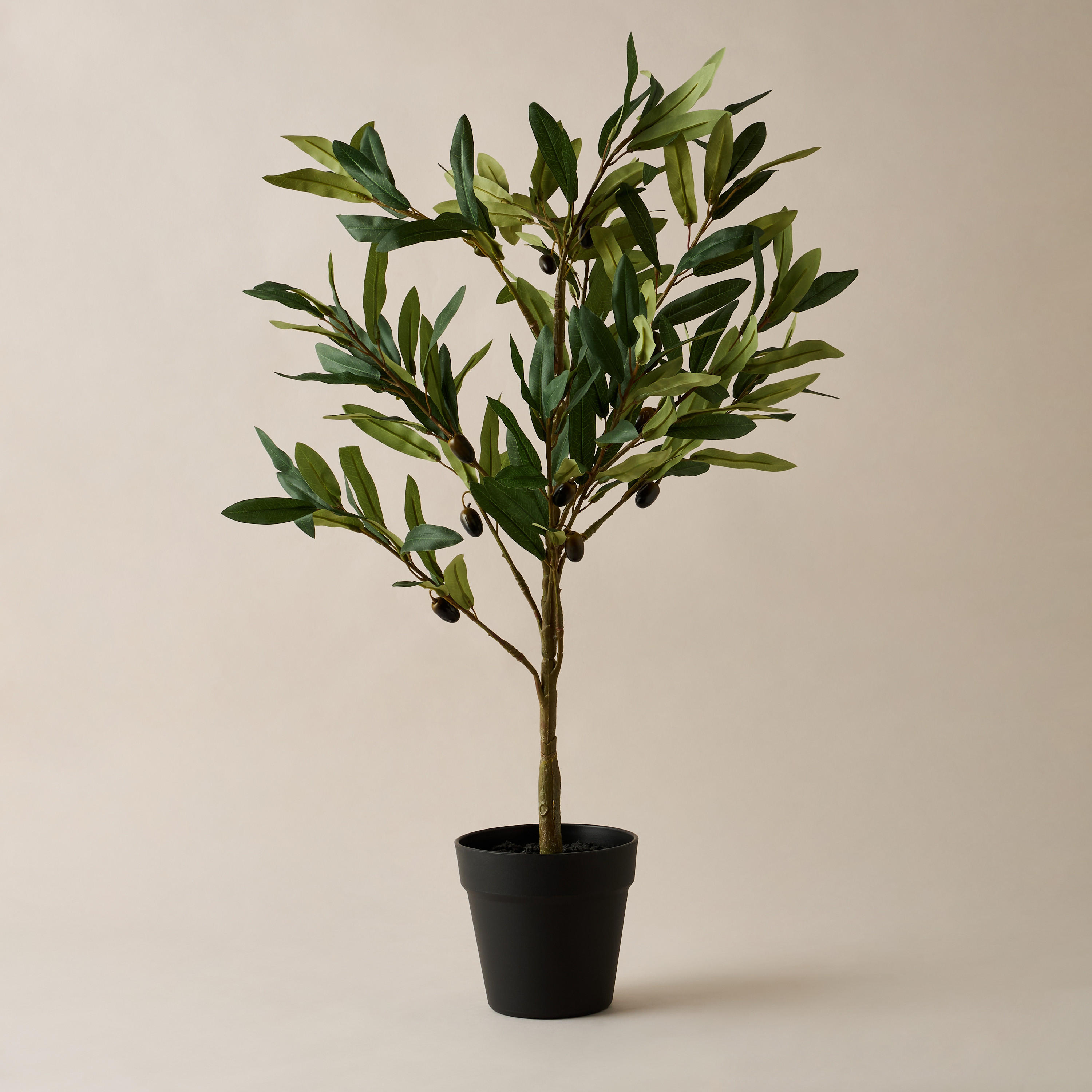 Decorative Potted Olive Tree - 12 cms-household-gardenandoutdoor-artificialplants-pottedplants-image-1