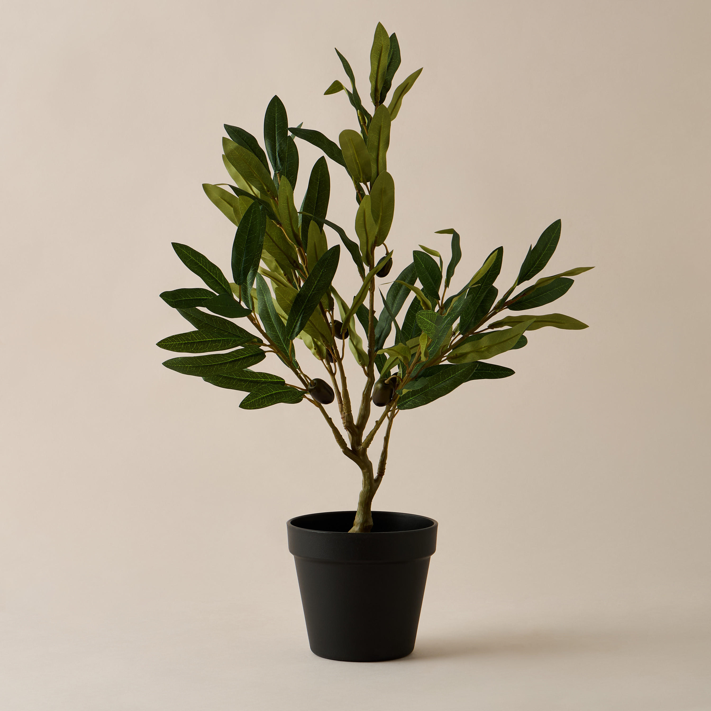 Decorative Potted Olive Tree - 15 cms-household-gardenandoutdoor-artificialplants-pottedplants-image-1
