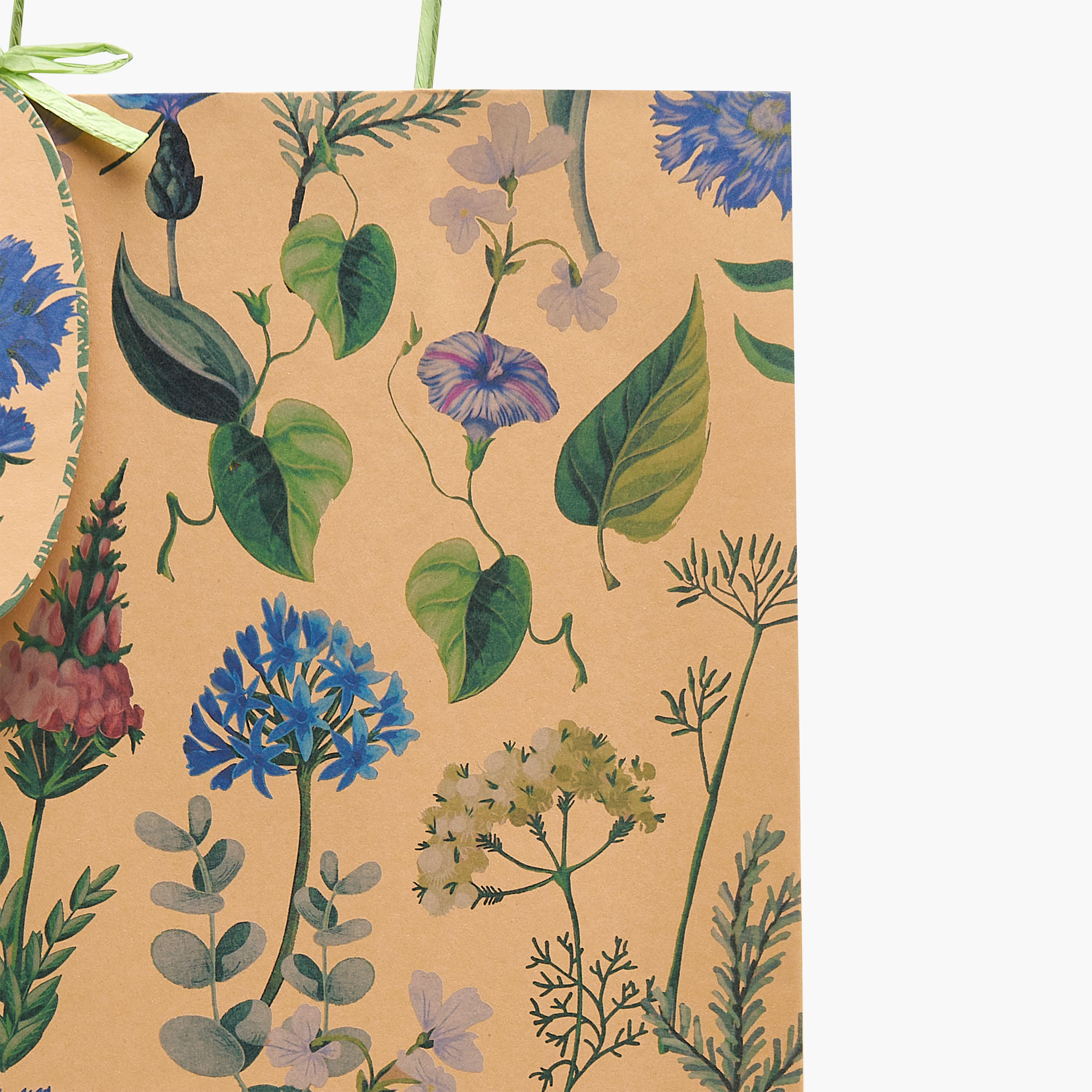 Floral Print Paper Gift Bag - Extra Large-household-giftingaccessories-giftings-image-3