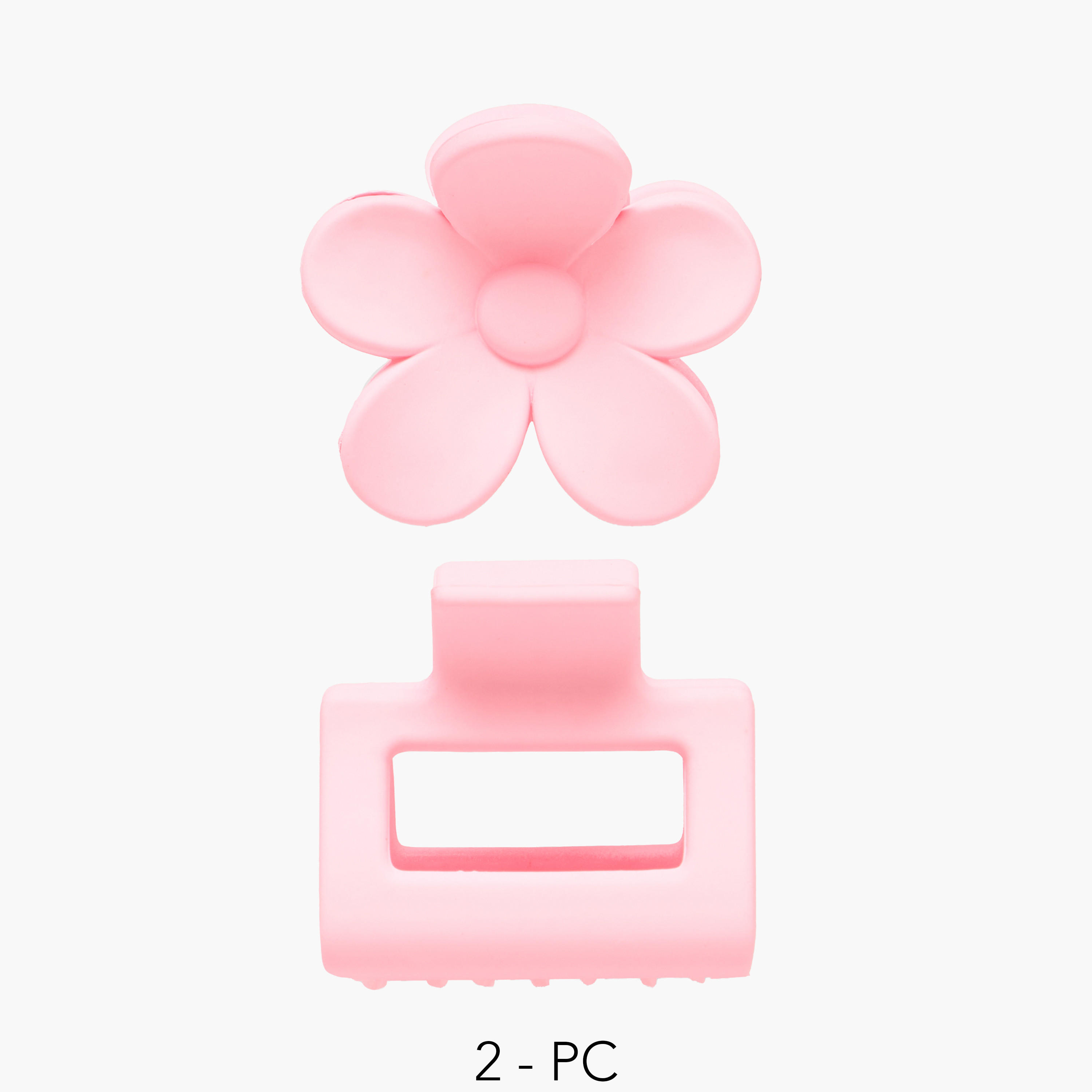 Pack of 2 Assorted Hair Clamp with Matte Finish-women-hairaccessories-clamps-image-1