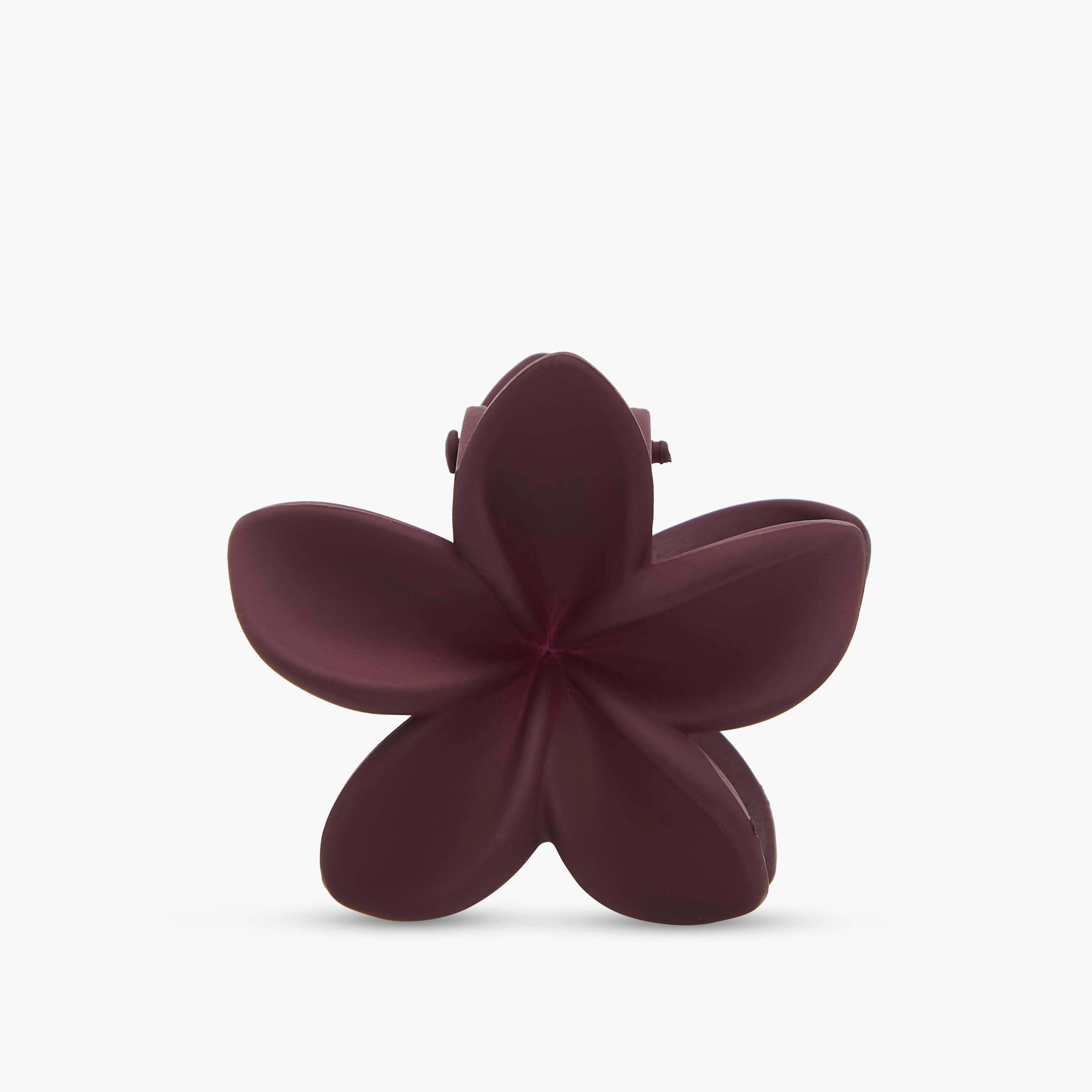 Pack of 3 Floral Hair Clamps with Matte Finish-women-hairaccessories-clamps-image-2
