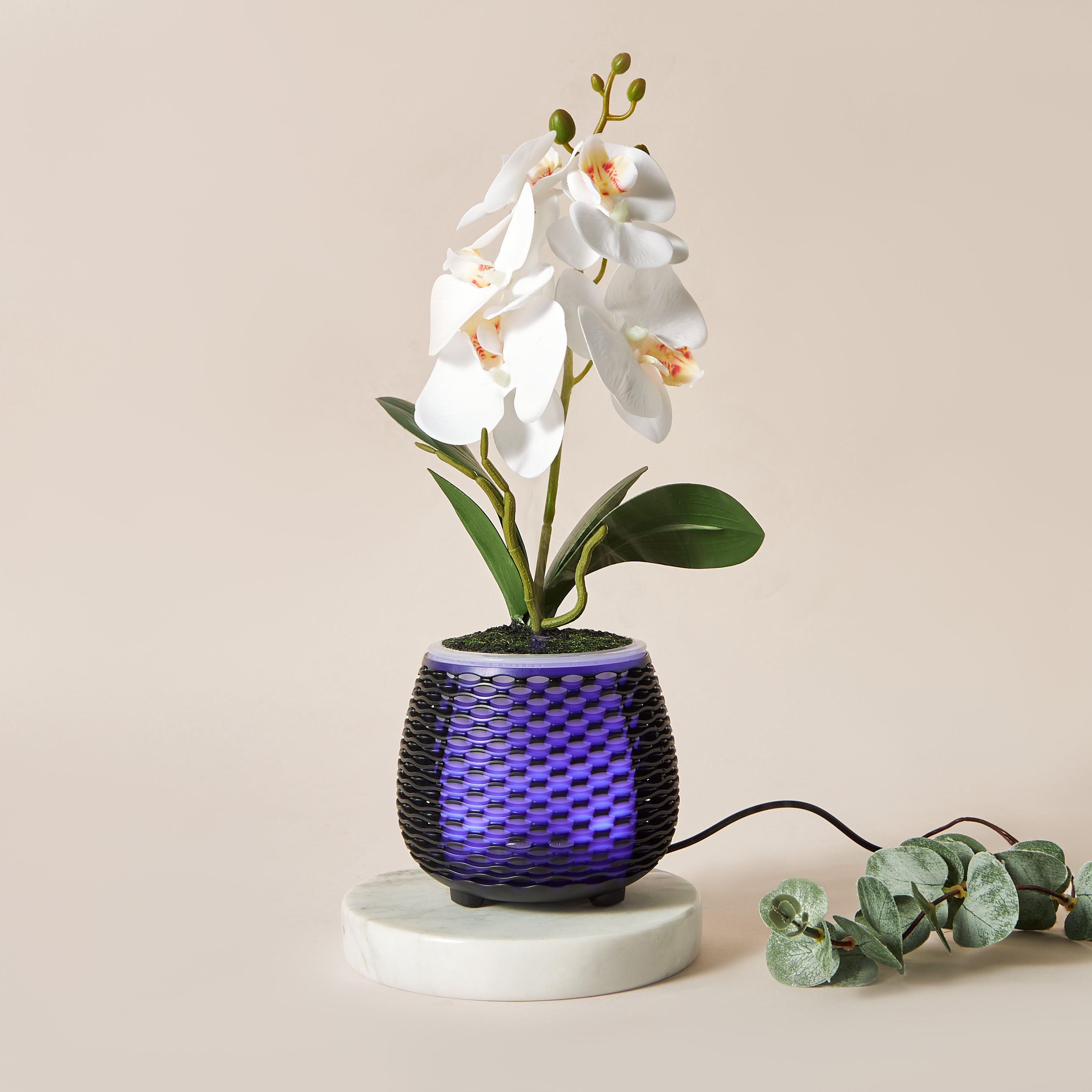 Florelle Botanical Aroma Diffuser-household-homefragrance-airrevitalisersandhumidifiers-image-1