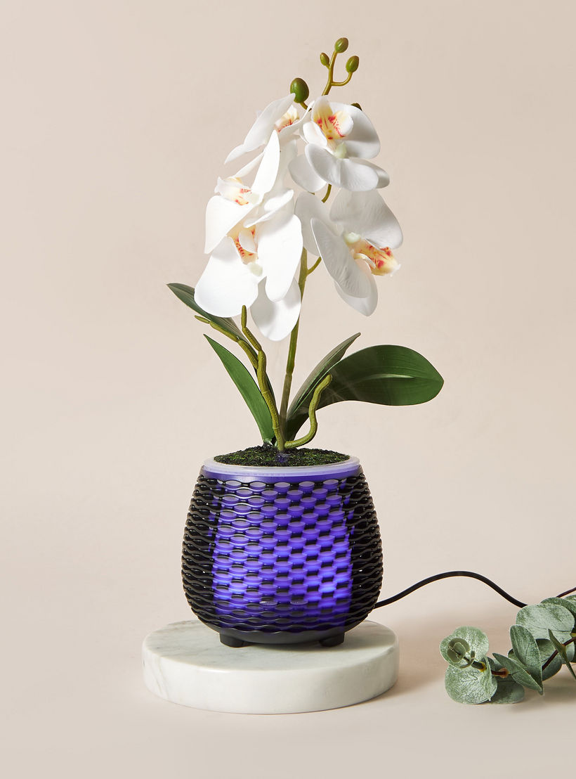 موزع عطور بتصميم إناء زرع من فلوريل-household-homefragrance-airrevitalisersandhumidifiers-image-1