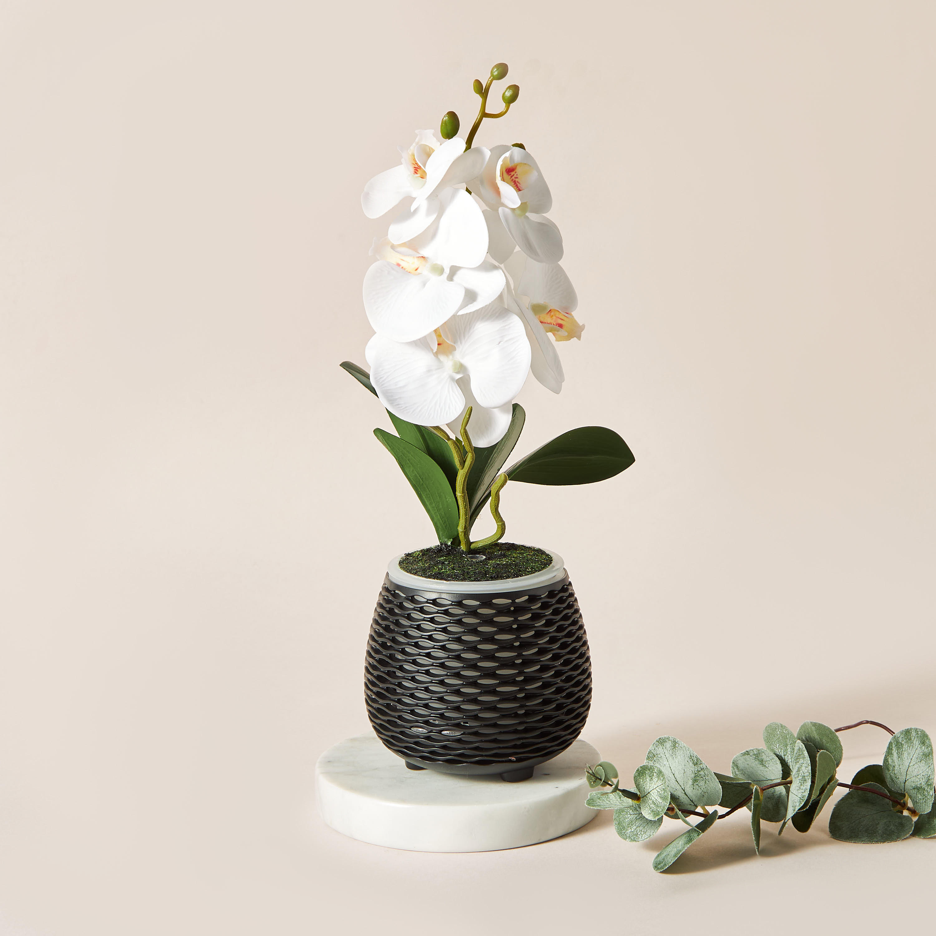 Florelle Botanical Aroma Diffuser-household-homefragrance-airrevitalisersandhumidifiers-image-2
