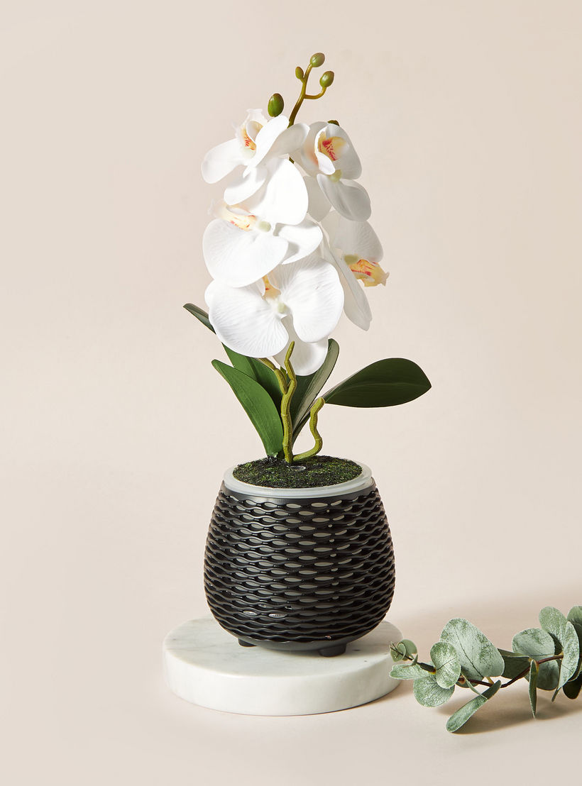 موزع عطور بتصميم إناء زرع من فلوريل-household-homefragrance-airrevitalisersandhumidifiers-image-2