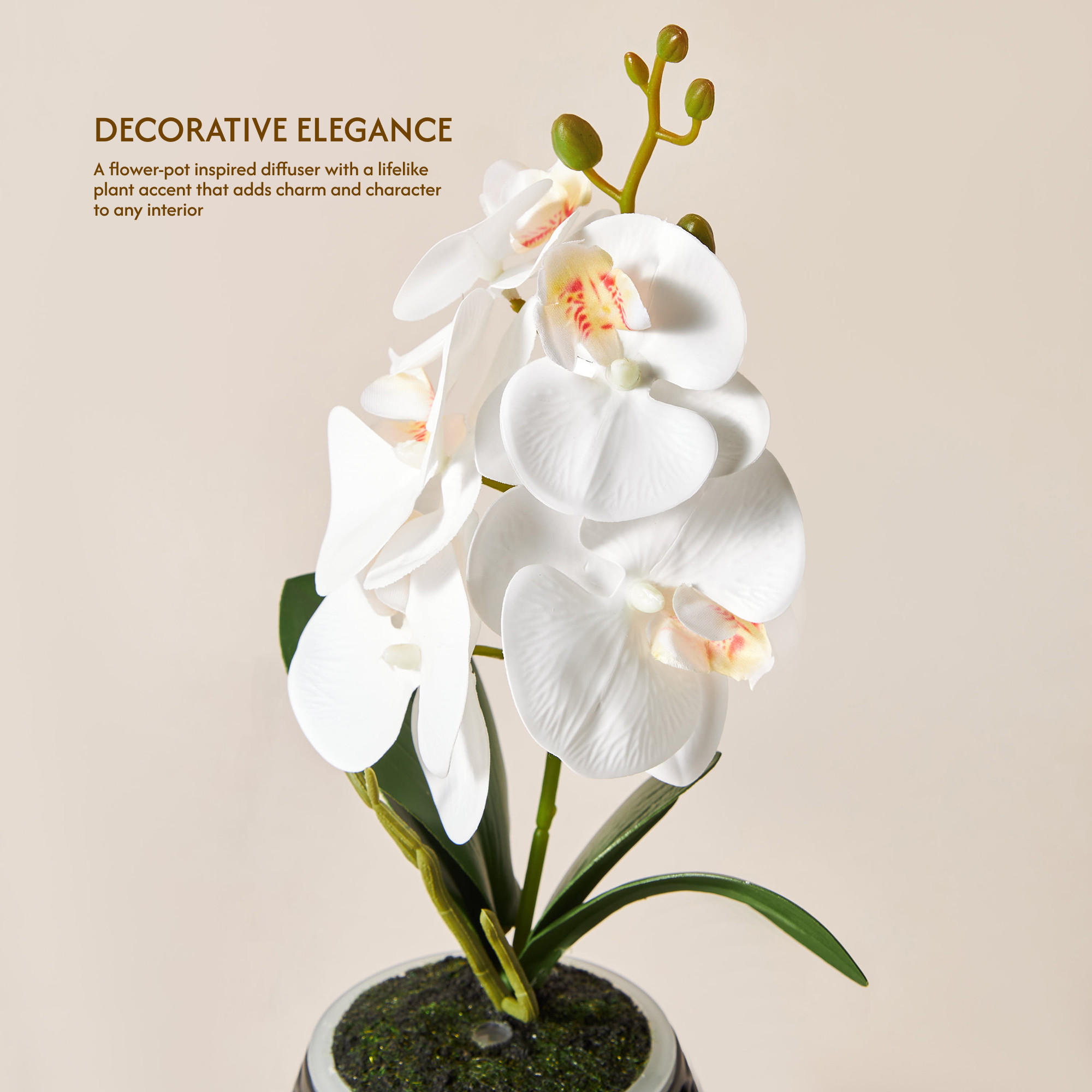 موزع عطور بتصميم إناء زرع من فلوريل-household-homefragrance-airrevitalisersandhumidifiers-image-5