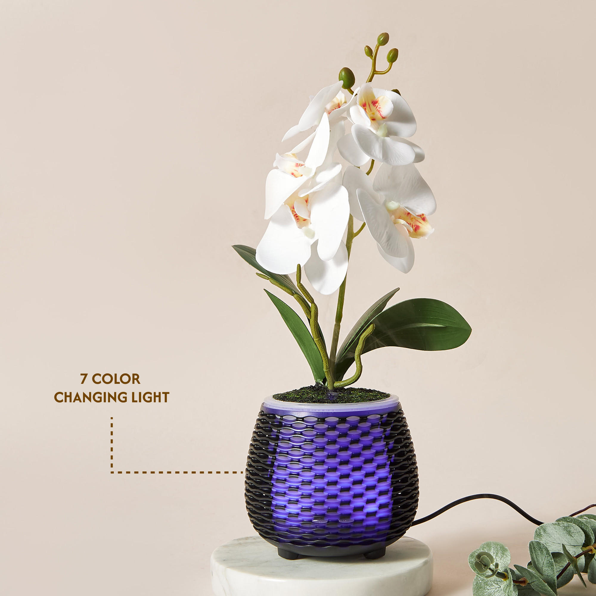 موزع عطور بتصميم إناء زرع من فلوريل-household-homefragrance-airrevitalisersandhumidifiers-image-6