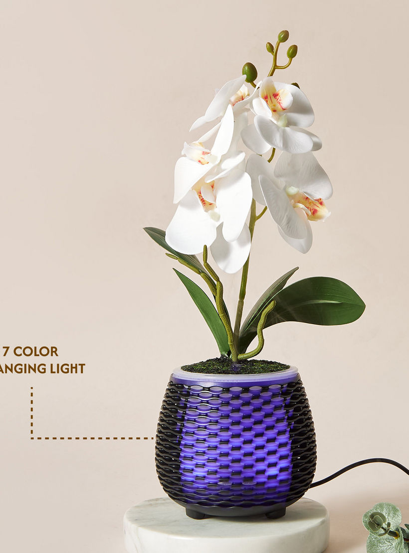 موزع عطور بتصميم إناء زرع من فلوريل-household-homefragrance-airrevitalisersandhumidifiers-image-6