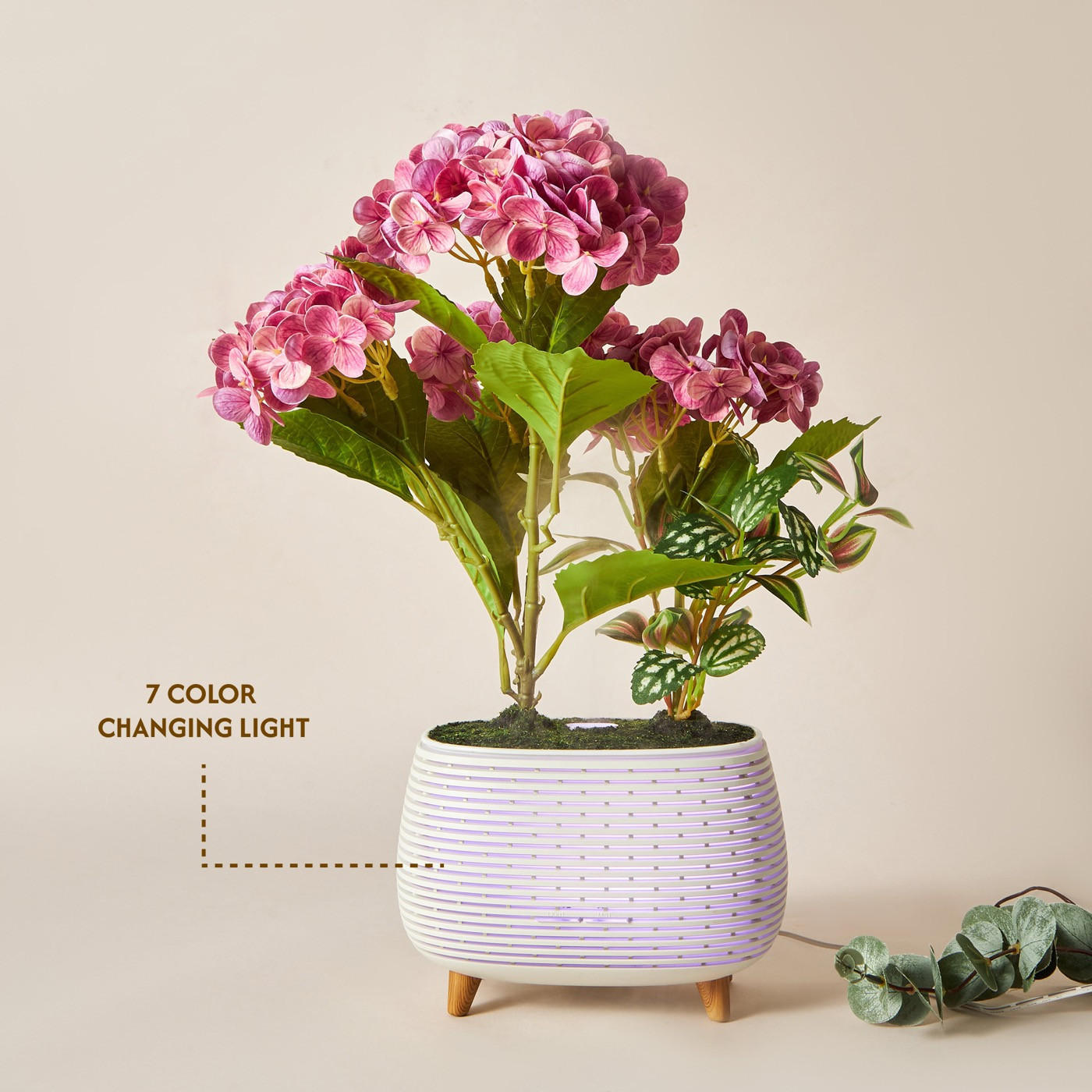Hydressa Botanical Aroma Diffuser-household-homefragrance-airrevitalisersandhumidifiers-image-5