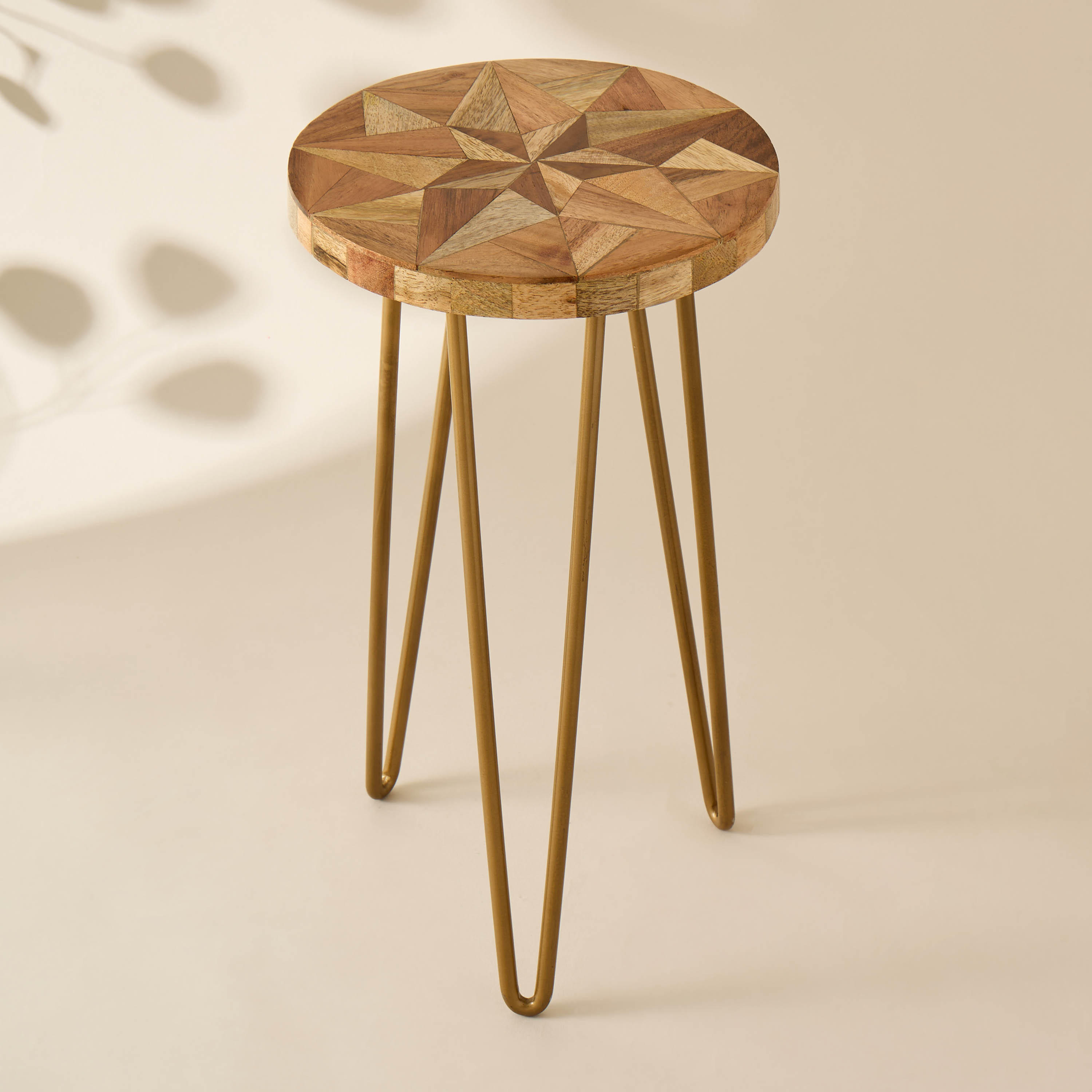 Decorative Metal Plant Stand - 20x38 cms-household-gardenandoutdoor-trellisandstands-plantstands-image-2
