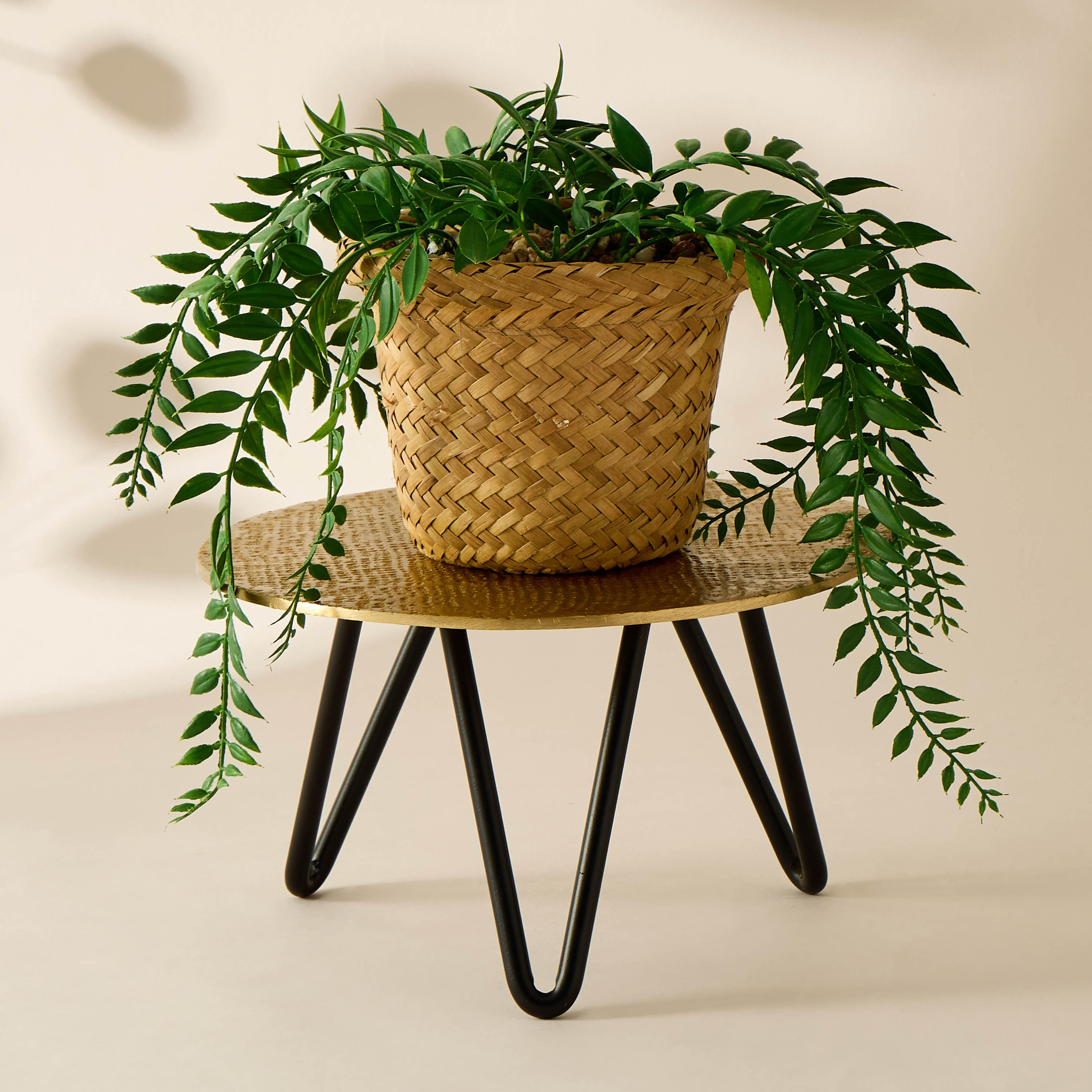 Metal Plant Stand - 20x13 cms-household-gardenandoutdoor-trellisandstands-plantstands-image-1