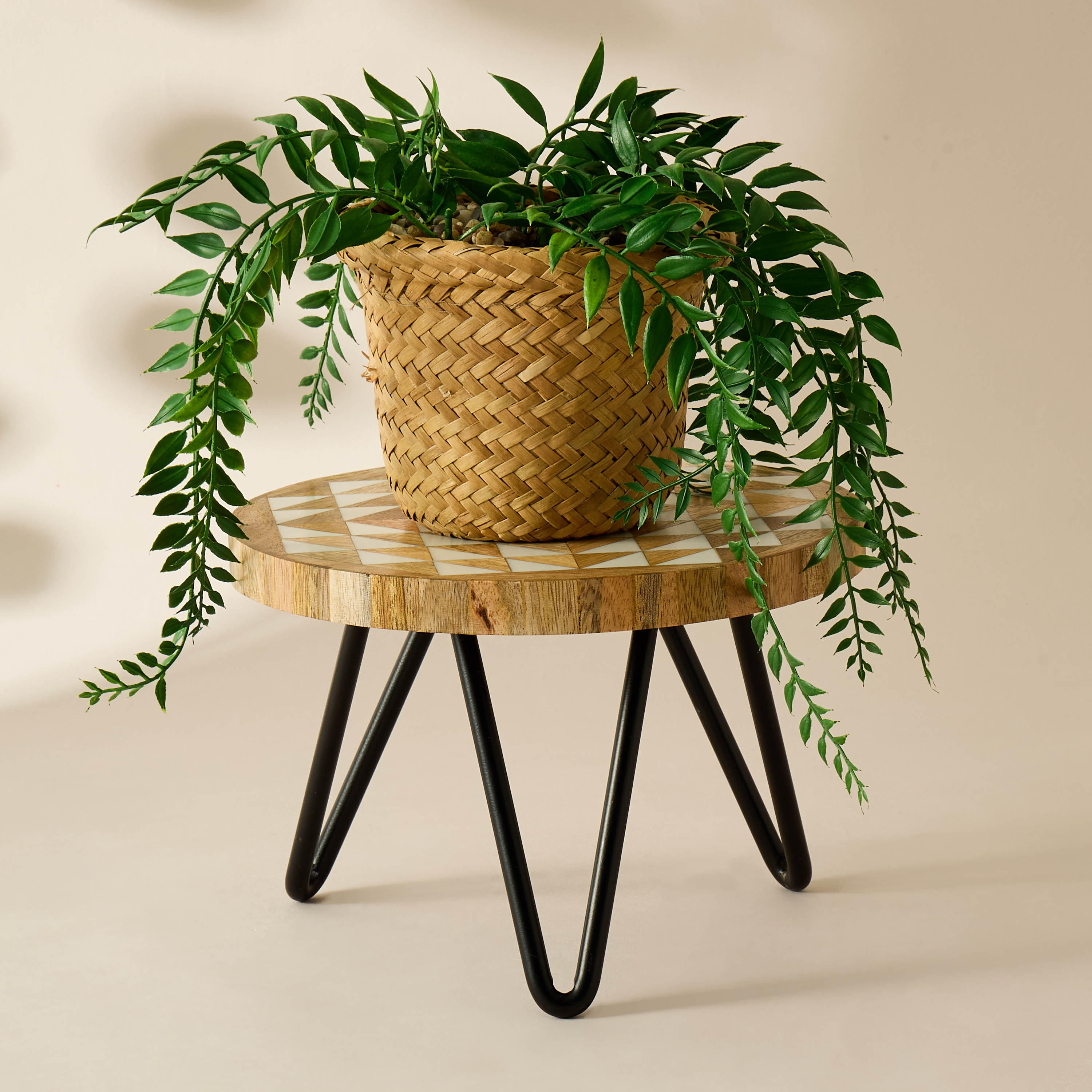 Metal Plant Stand - 20x13 cms-household-gardenandoutdoor-trellisandstands-plantstands-image-1