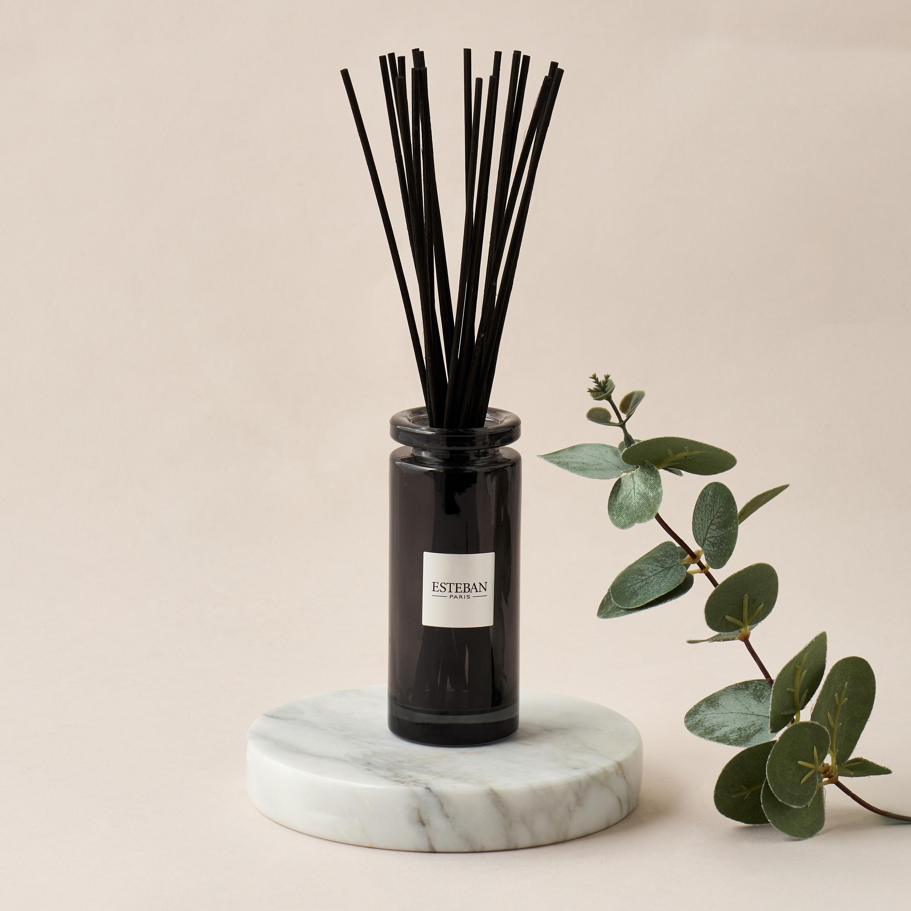 طقم موزّع عطور بأعواد سيدر من إستيبان – 100 مل-household-homefragrance-reeddiffusers-image-1