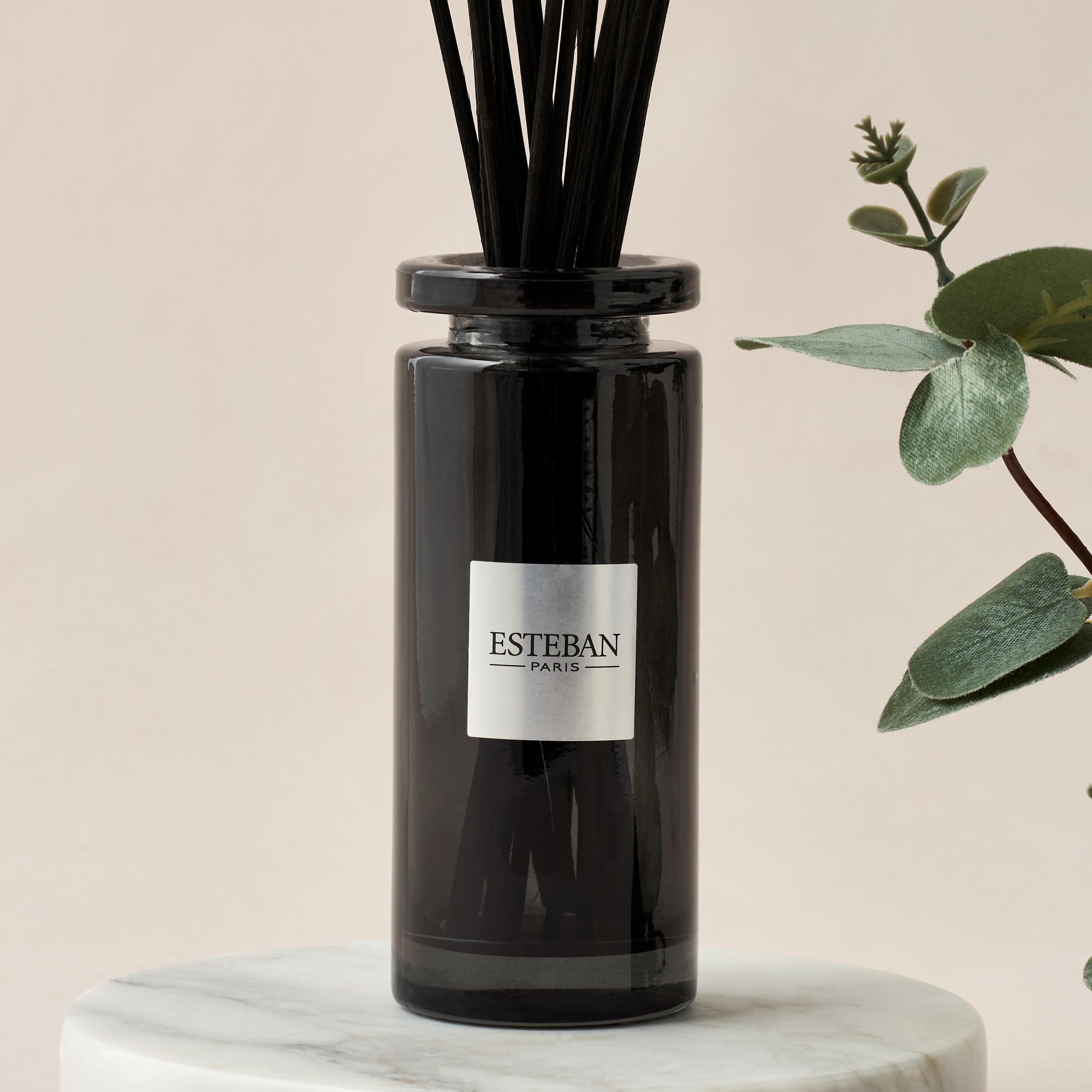 Esteban Cedre Scented Reed Diffuser Set - 100 ml-household-homefragrance-reeddiffusers-image-3