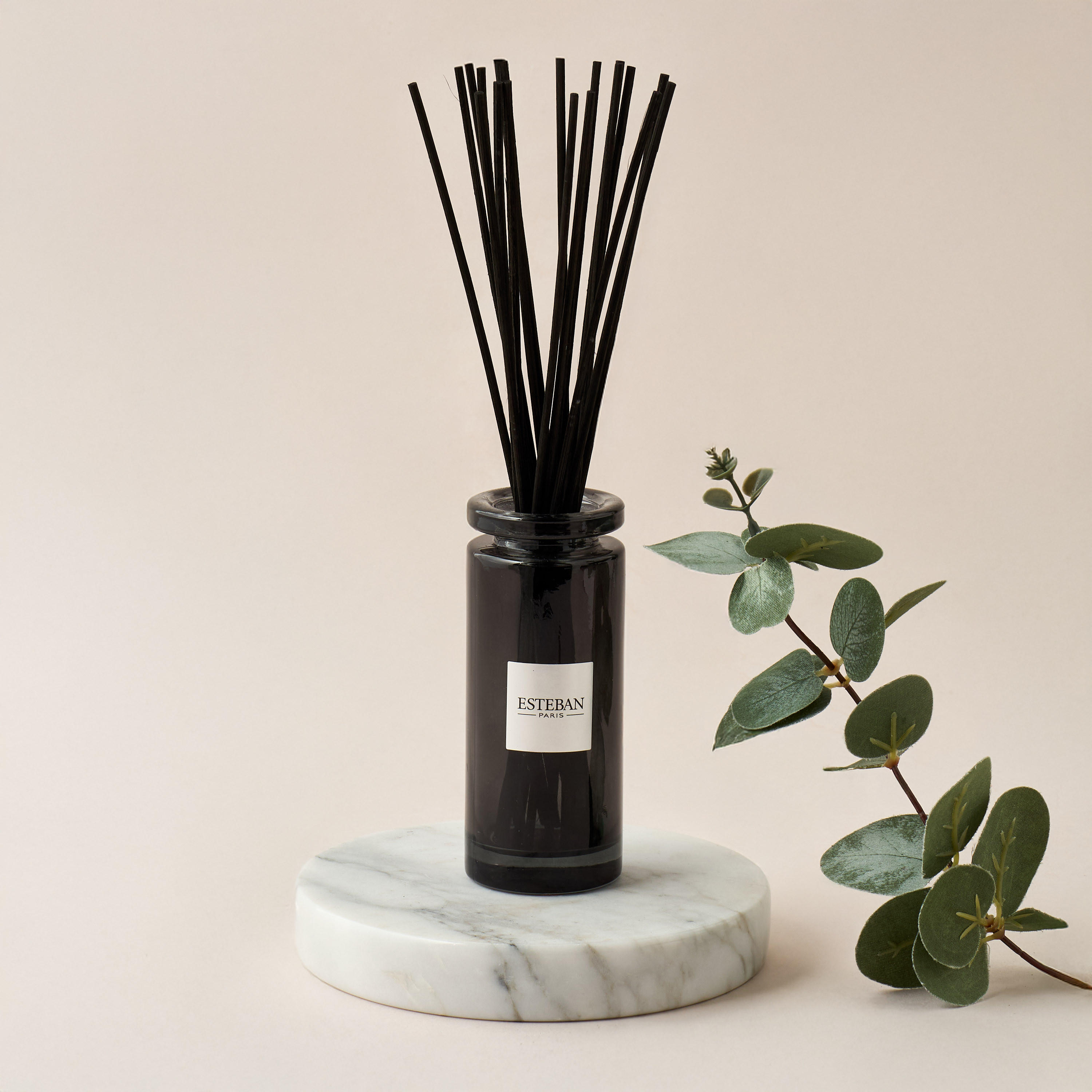 Esteban Paris Iris Cachemire Refillable Initial Scented Bouquet - 100 ml-household-homefragrance-reeddiffusers-image-1