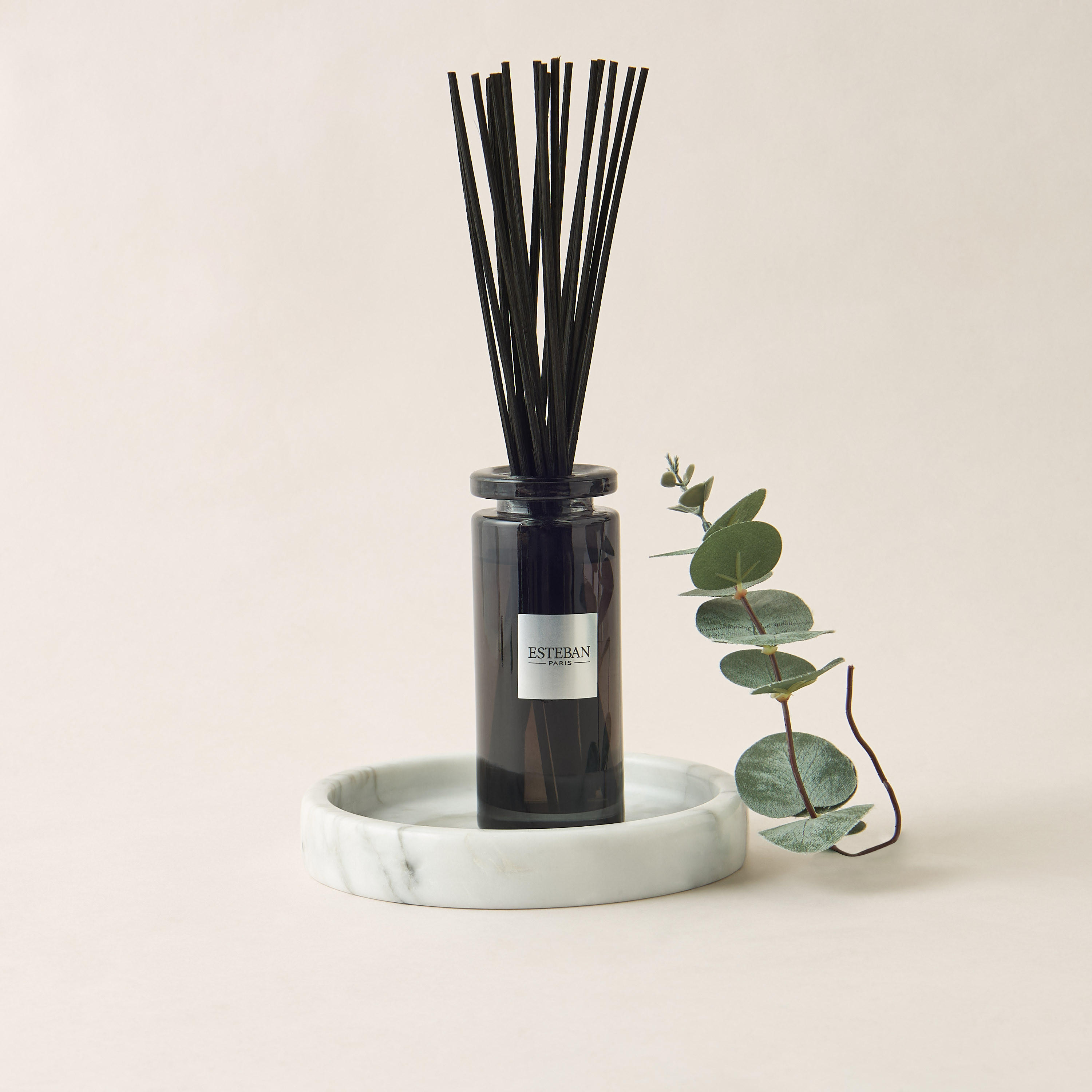 Esteban Teck and Tonka Scented Reed Diffuser Set - 100 ml-household-homefragrance-fragranceoilsandessence-image-1