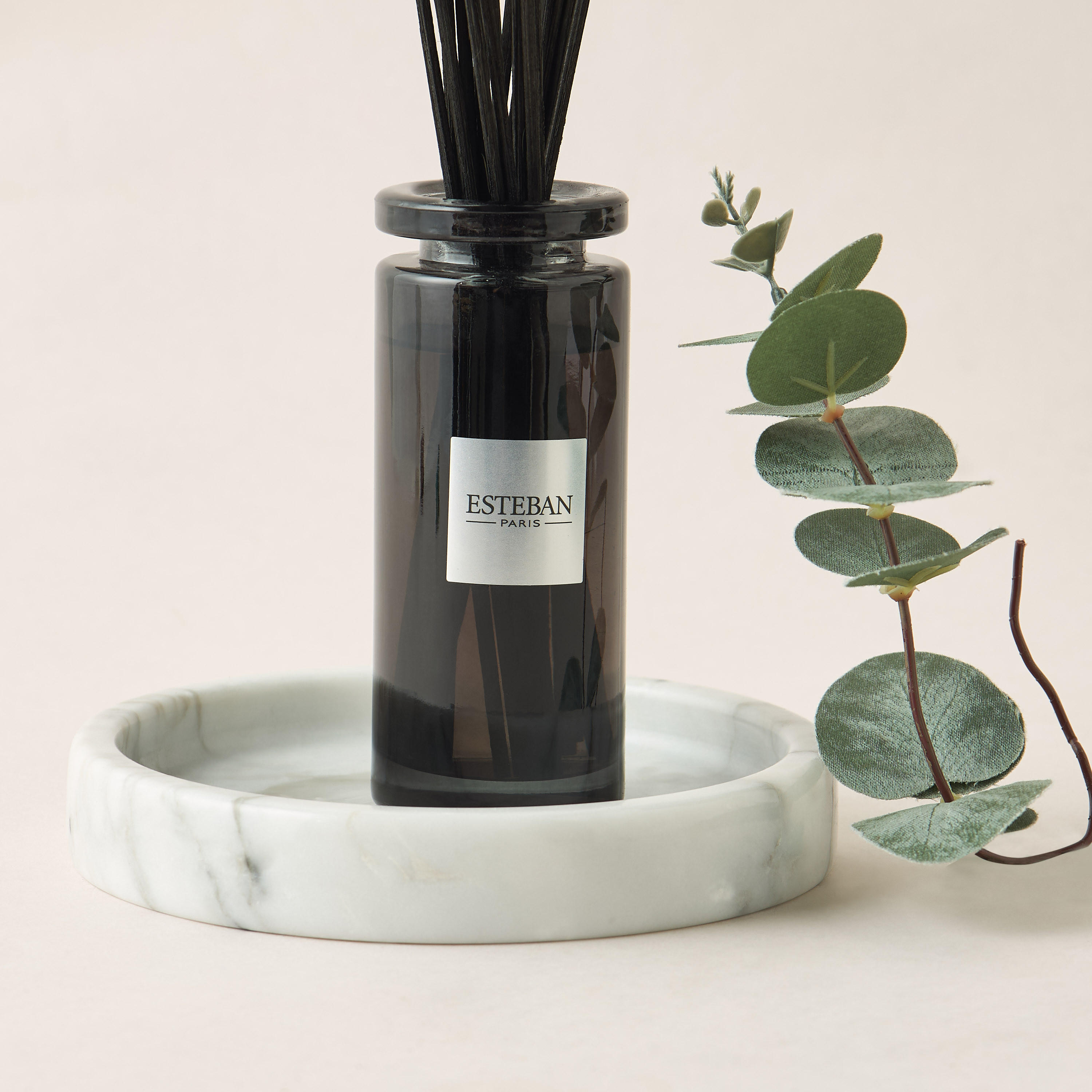 Esteban Teck and Tonka Scented Reed Diffuser Set - 100 ml-household-homefragrance-fragranceoilsandessence-image-2