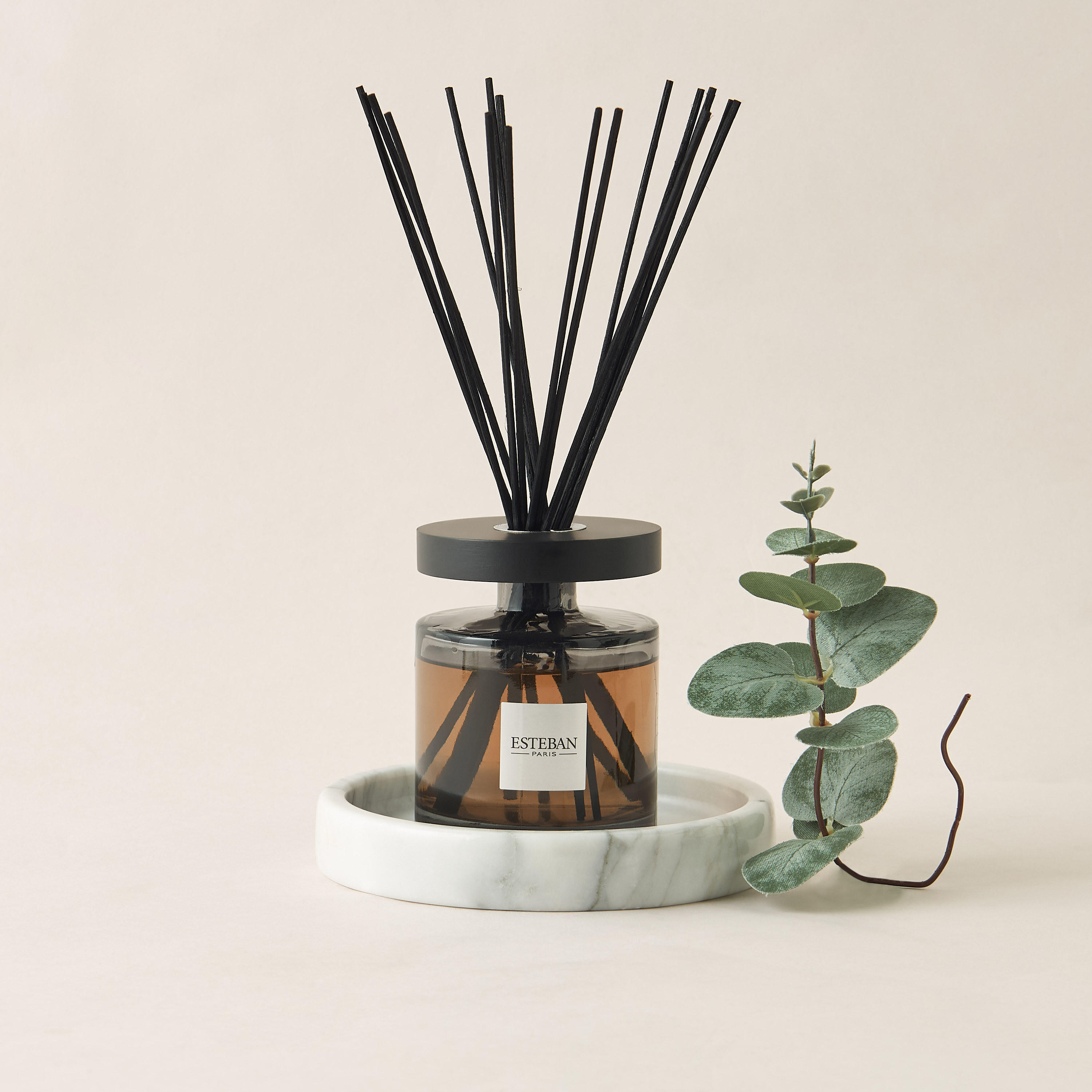 Esteban Teck and Tonka Scented Reed Diffuser Set - 200 ml-household-homefragrance-reeddiffusers-image-1