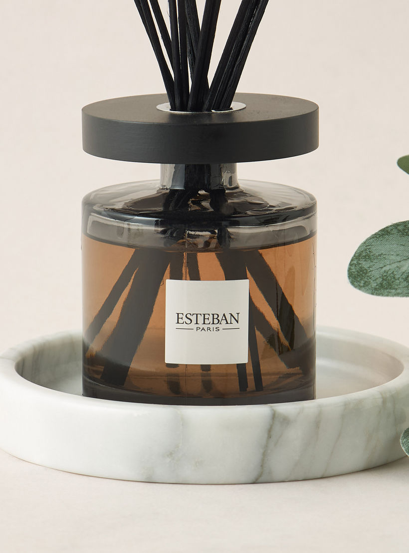 Esteban Teck and Tonka Scented Reed Diffuser Set - 200 ml-household-homefragrance-reeddiffusers-image-3