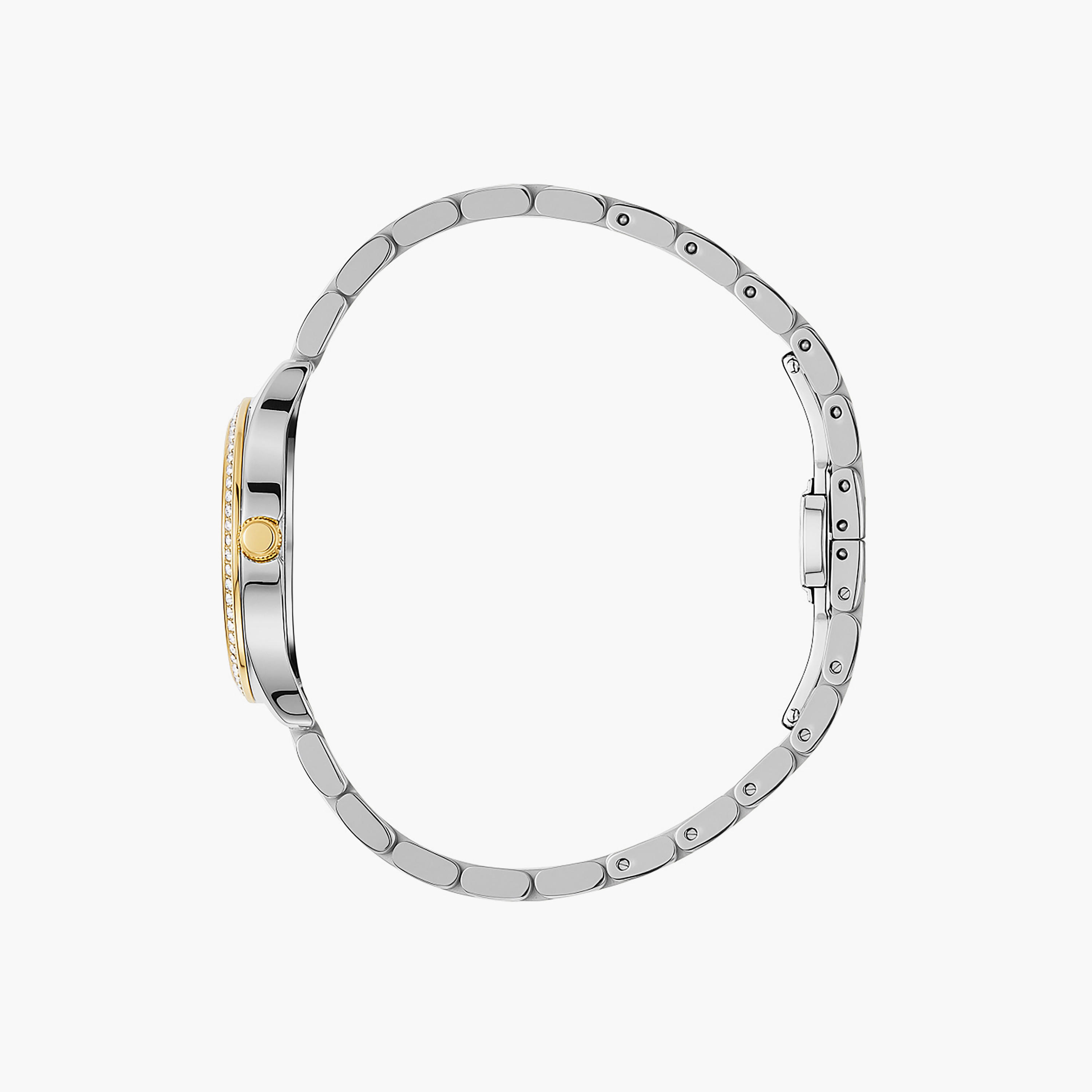 Two-Tone Analogue Women's Watch-women-watchesandjewellery-watches-image-3