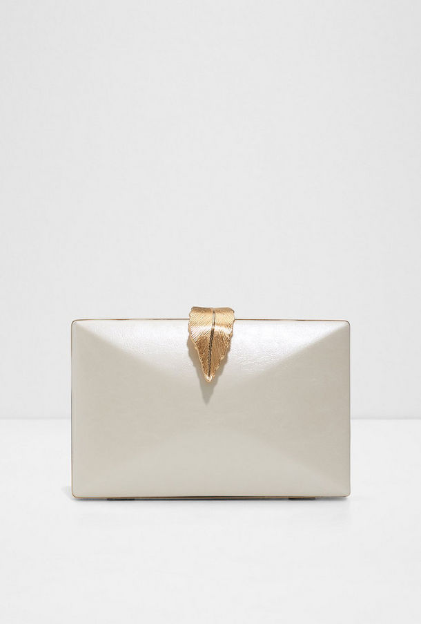 Aldo Layali Plain Clutch with Magnetic Closure and Non-Detachable Strap-women-image-1