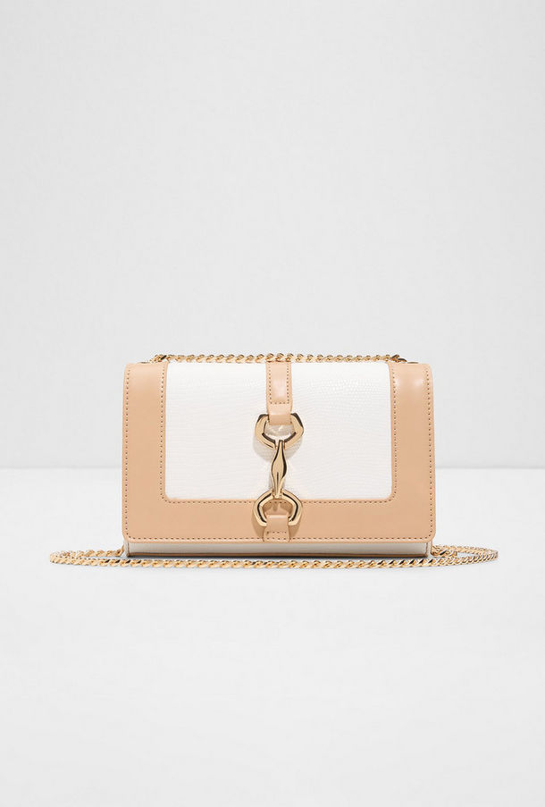 Aldo Clairissia Color Blocked Crossbody Bag with Magnetic Closure and Non-Detachable Strap-women-image-1