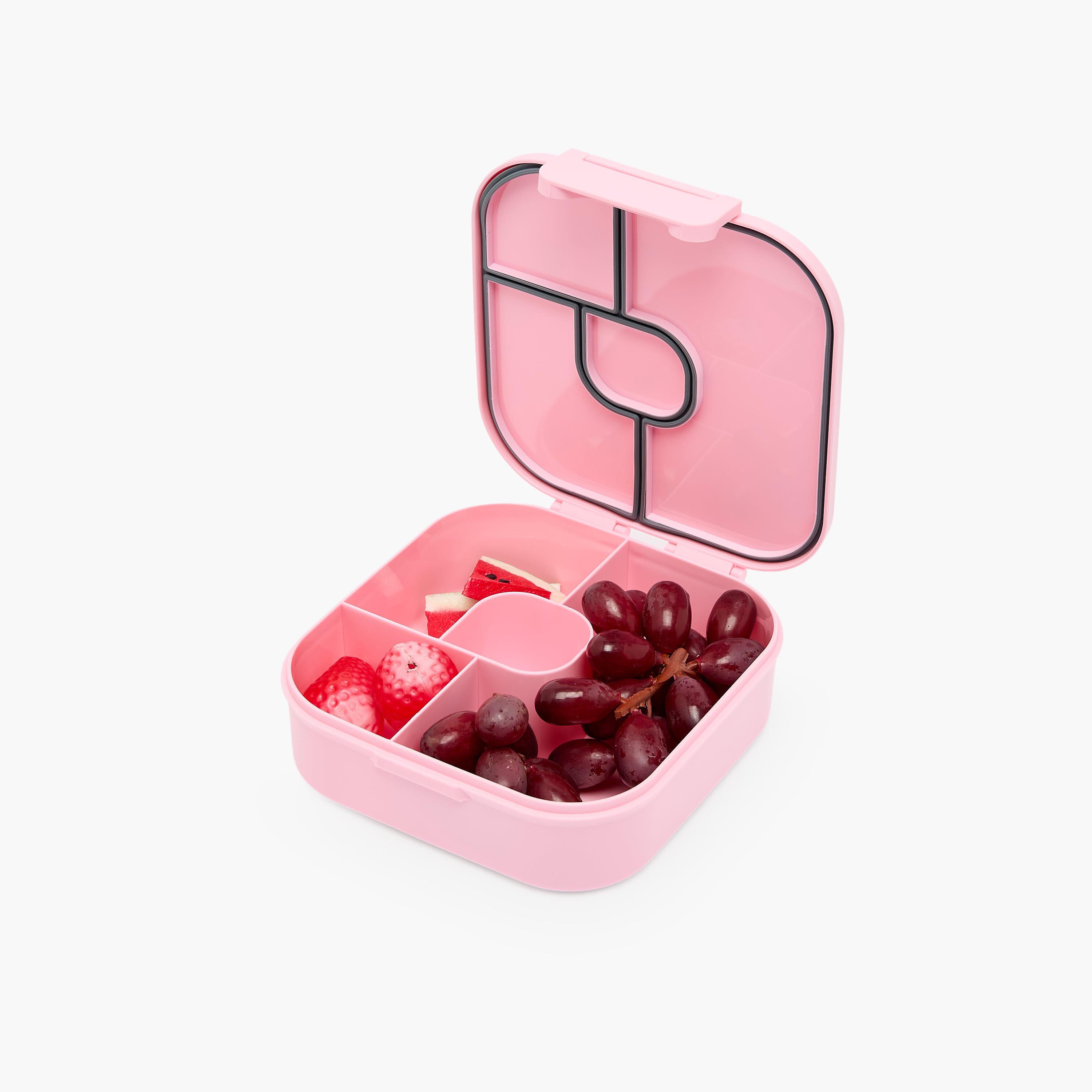صندوق غداء بطبعات وأقسام للأولاد - 1.2 لتر-school-lunchessentials-lunchboxes-image-8