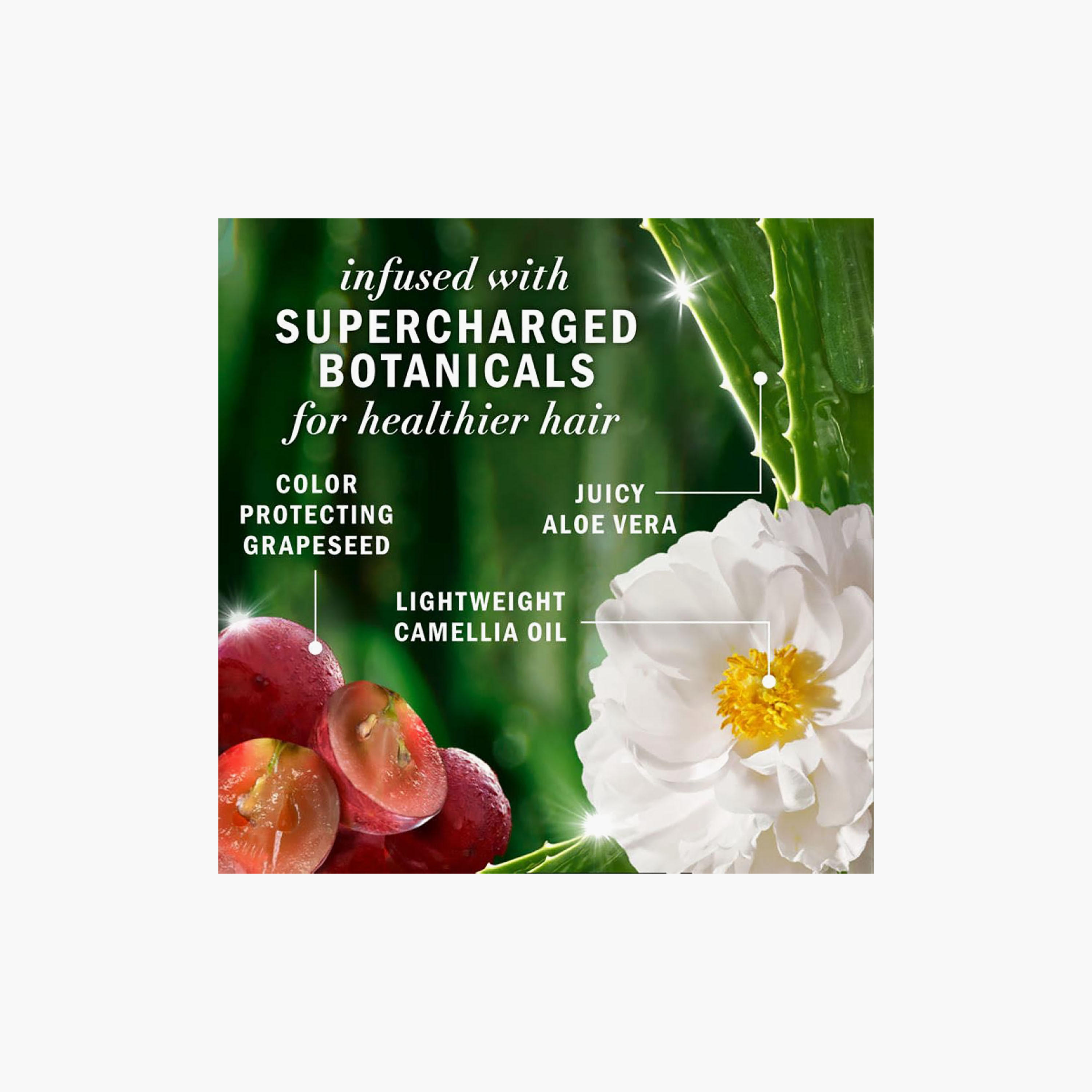 HERBAL Hair Conditioner with Grape Seeds 400 ml-beautyandpersonalcare-hair-haircare-hairmasksandcreams-image-8
