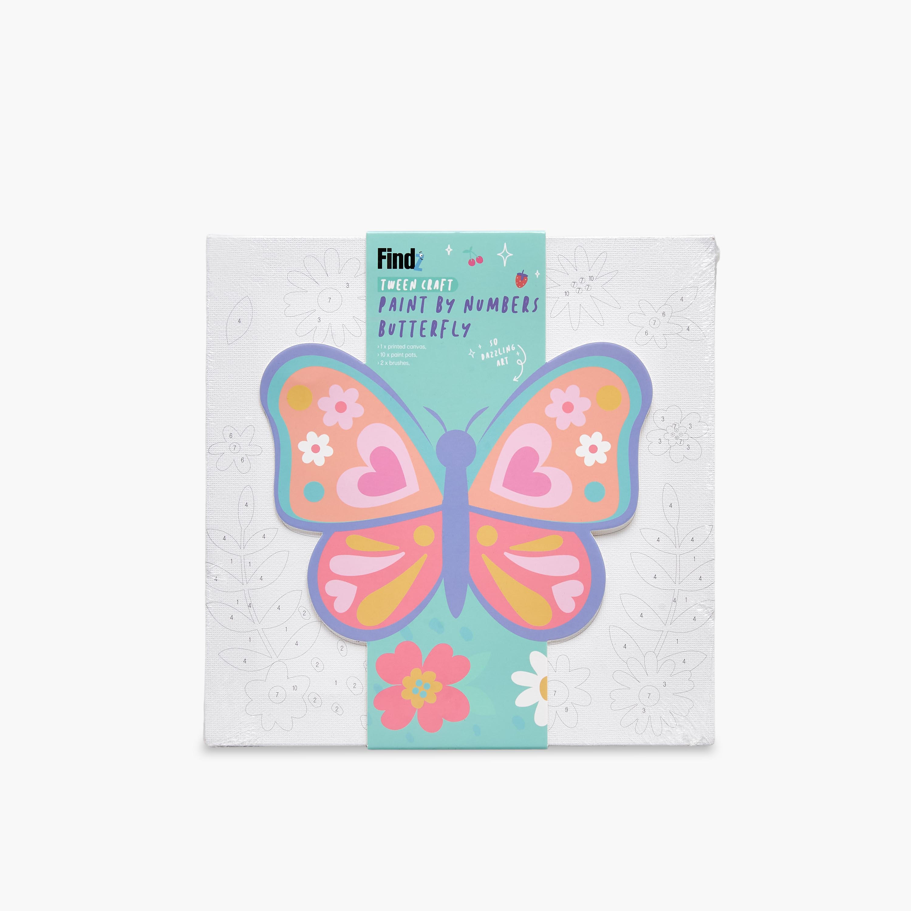 Findz Butterfly DIY Paint by Numbers Set-school-artsandcrafts-image-5