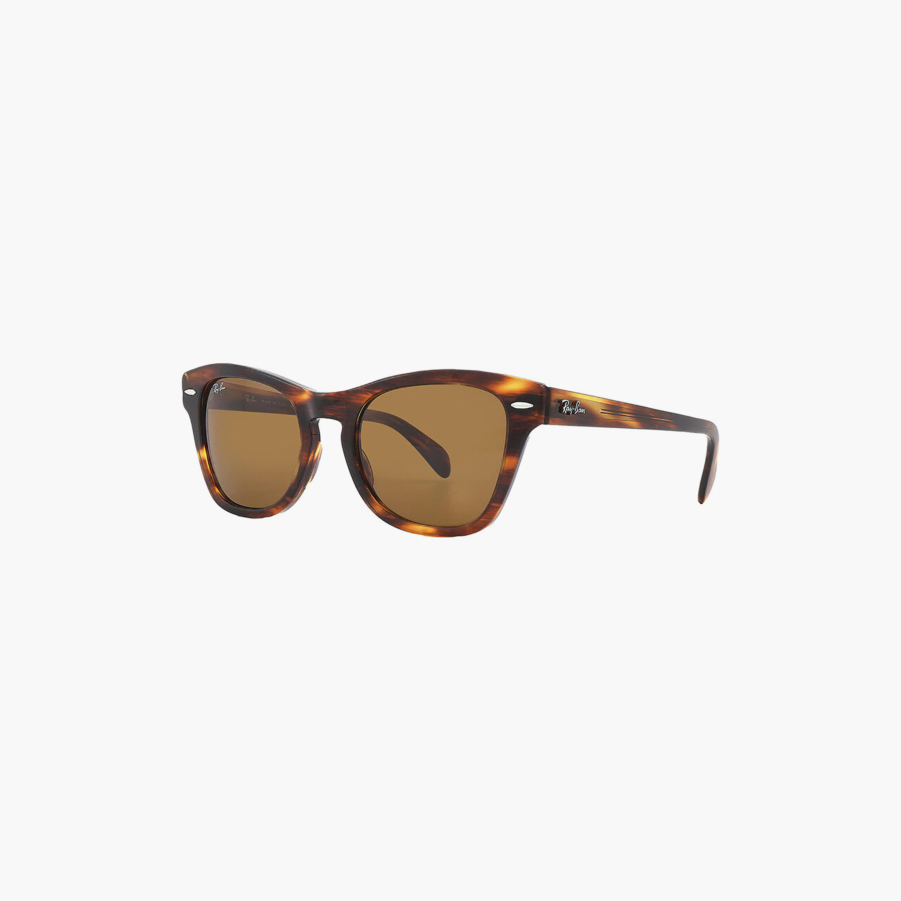 نظارات شمسية راي بان وايفارير بنية اللون للجنسين | 0707S-men-sunglasses-image-1