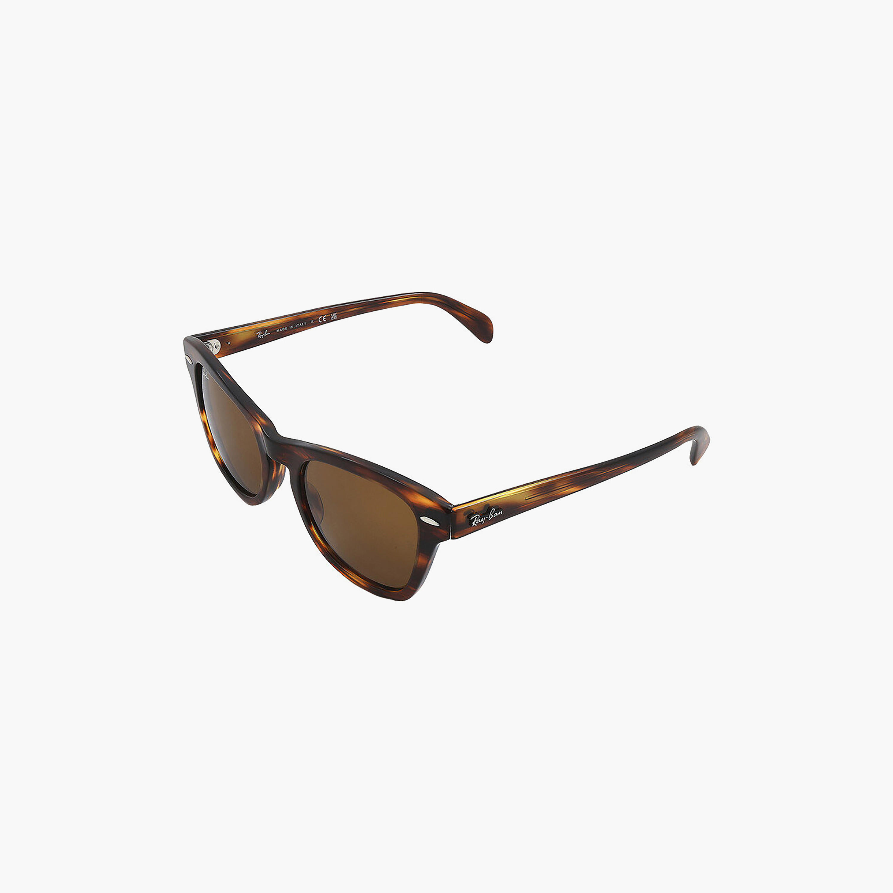 نظارات شمسية راي بان وايفارير بنية اللون للجنسين | 0707S-men-sunglasses-image-4