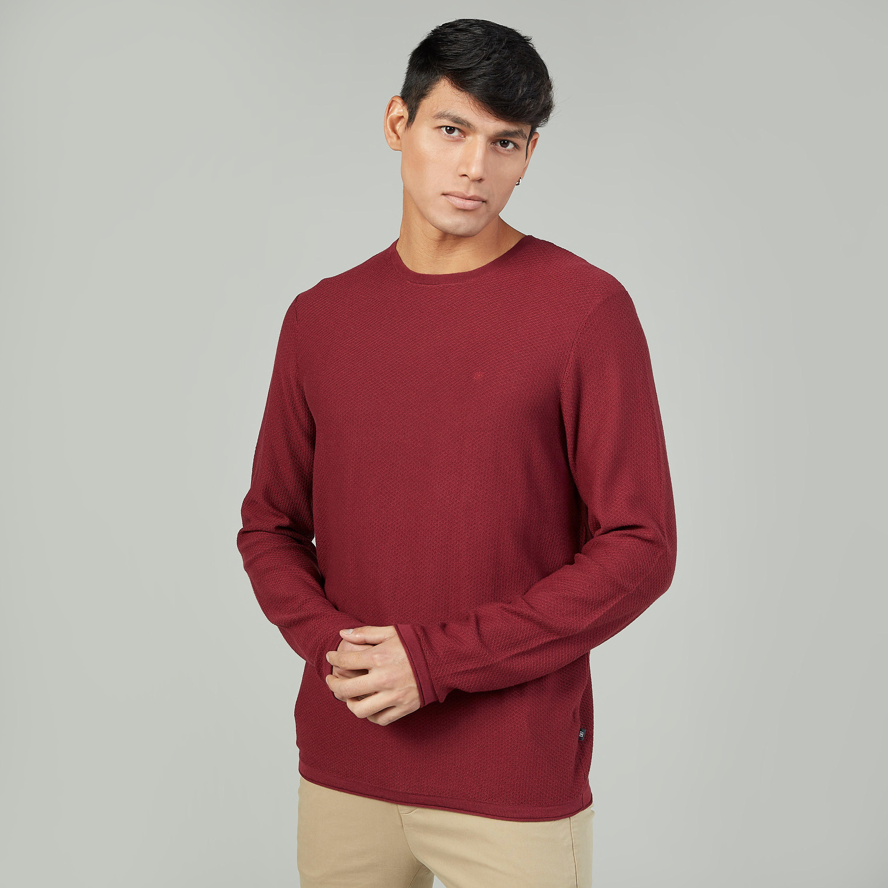 Textured Sweater with Round Neck and Long Sleeves-men-clothing-sweatersandpullovers-image-1
