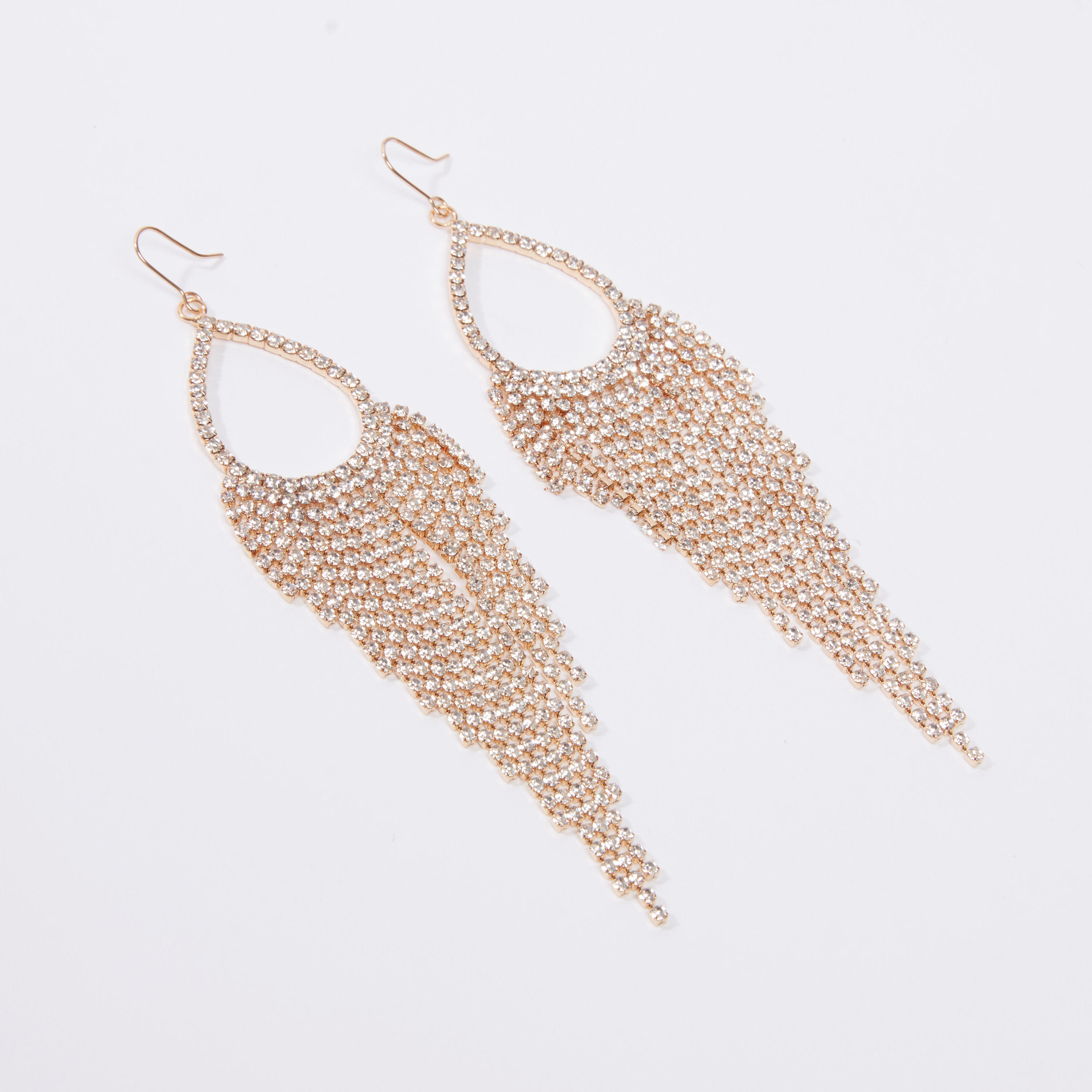 Iconic Studded Dangling Earrings with Fish Hook-women-watchesandjewellery-jewellery-earrings-image-1