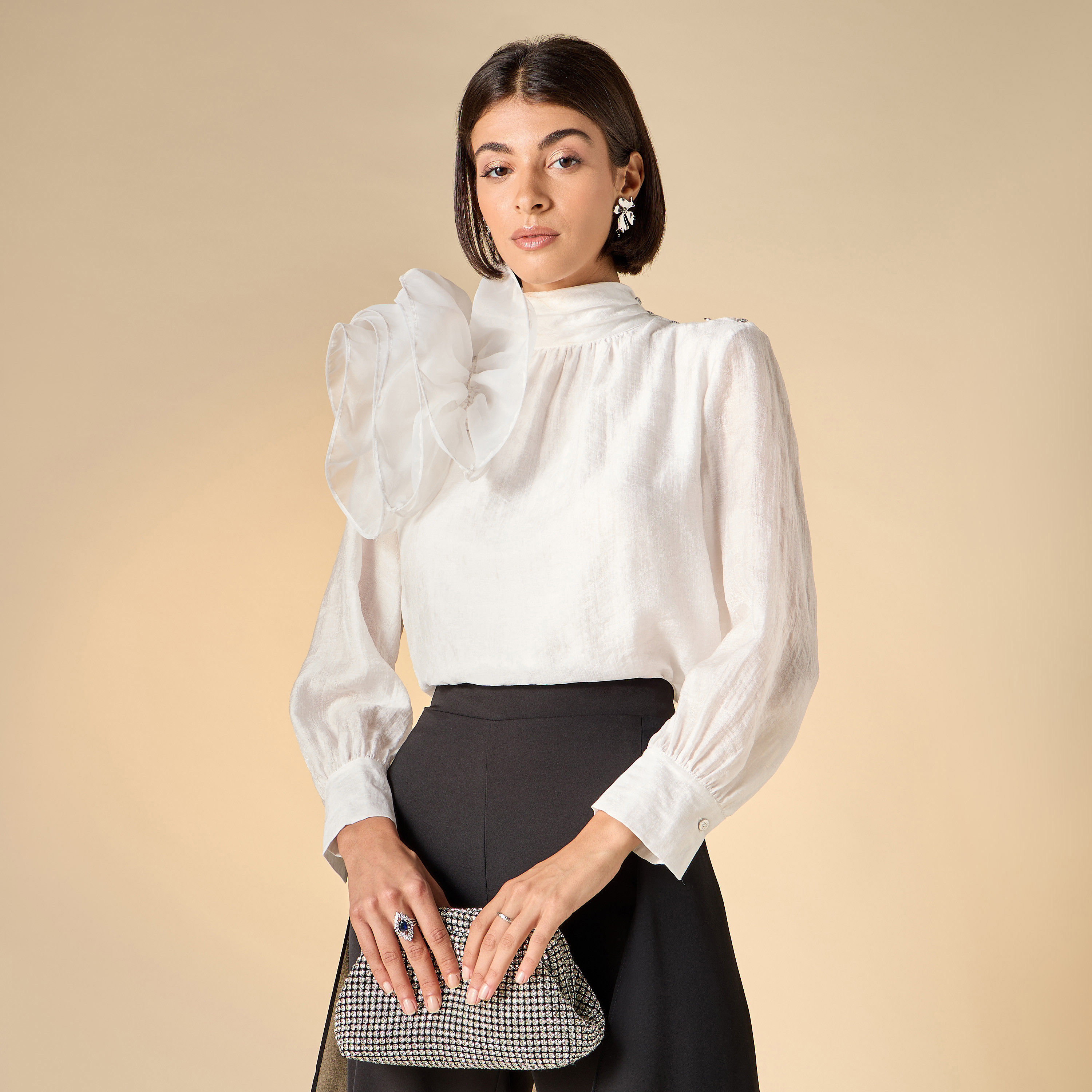 Iconic Floral Applique Top with High Neck and Long Sleeves-women-clothing-shirtsandblouses-blouses-image-1