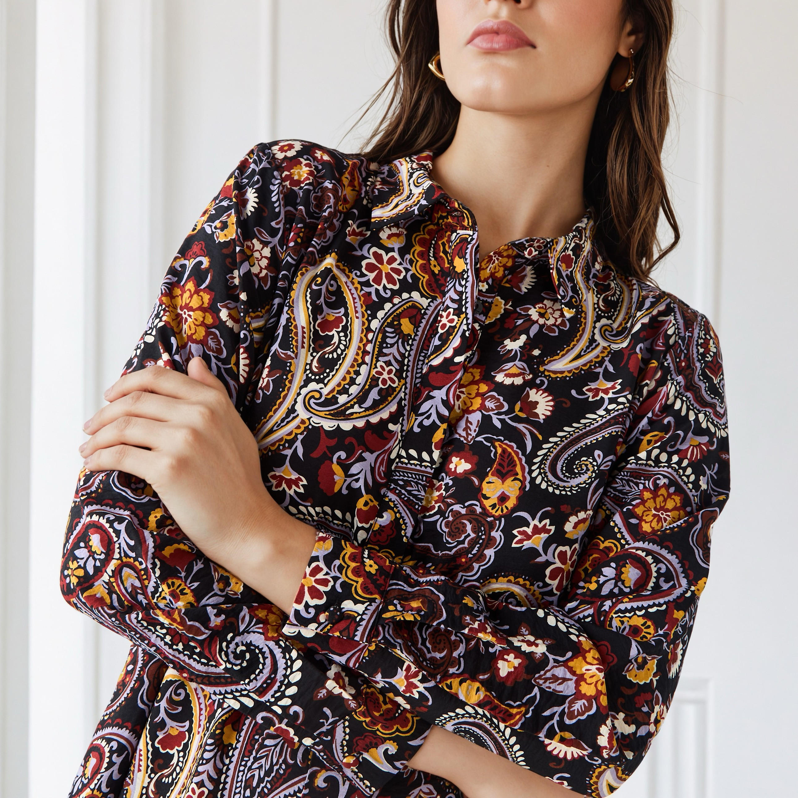 Iconic Paisley Print Collared Trapeze Dress-women-clothing-dresses-image-5