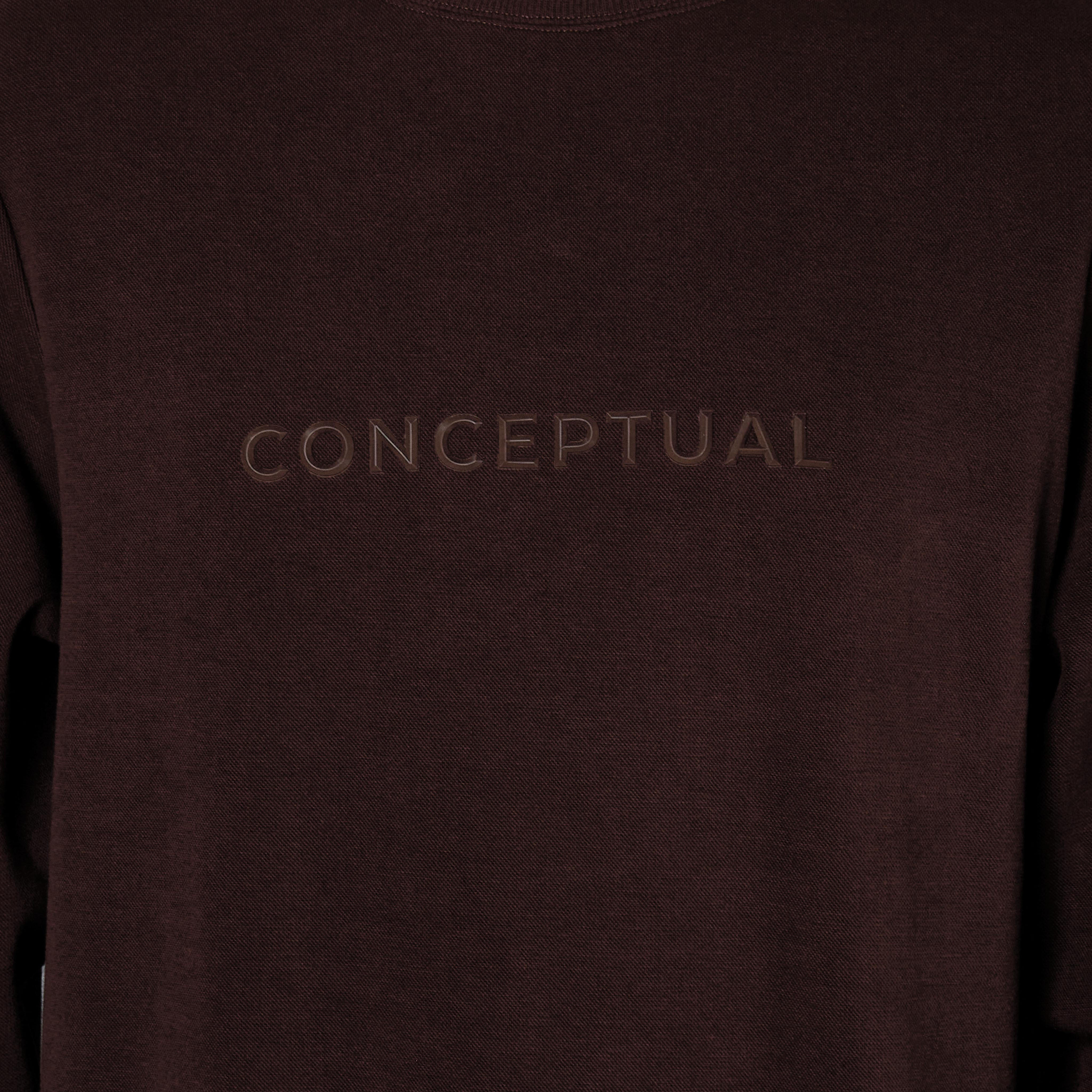 Iconic Men Regular Fit Slogan Embroidered Sweatshirt-men-winterwear-hoodiesandsweatshirts-image-4