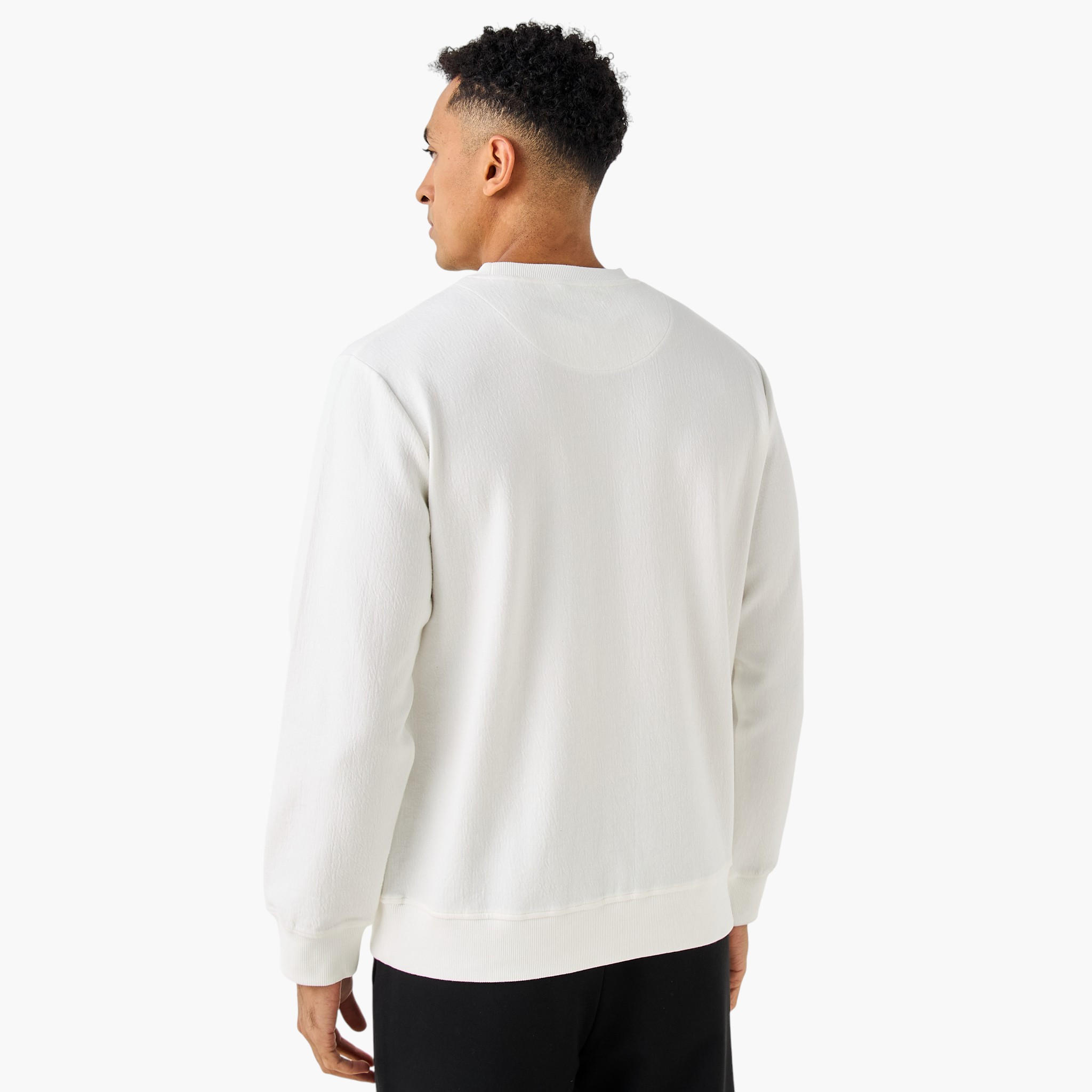 Iconic Men Regular Fit Sweatshirt-men-winterwear-hoodiesandsweatshirts-image-3