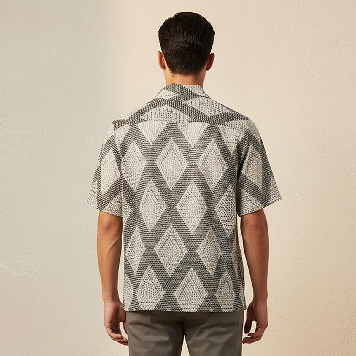 Splash Iconic Regular Fit Collared Mesh Textured Short Sleeves Shirt-men-clothing-shirts-image-4