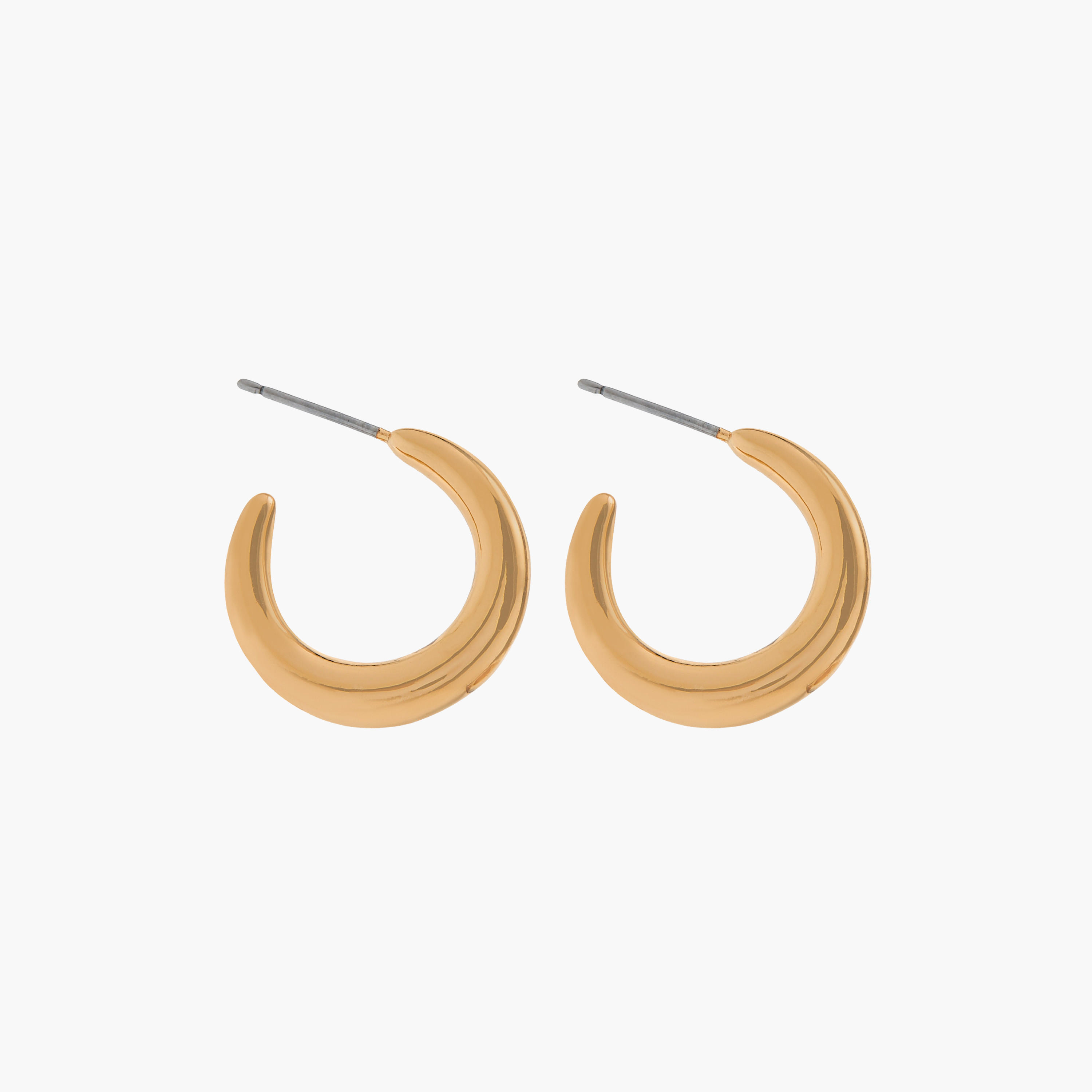 Flora Bella Hoop Metallic Earrings - Set of 2-women-watchesandjewellery-jewellery-earrings-image-3