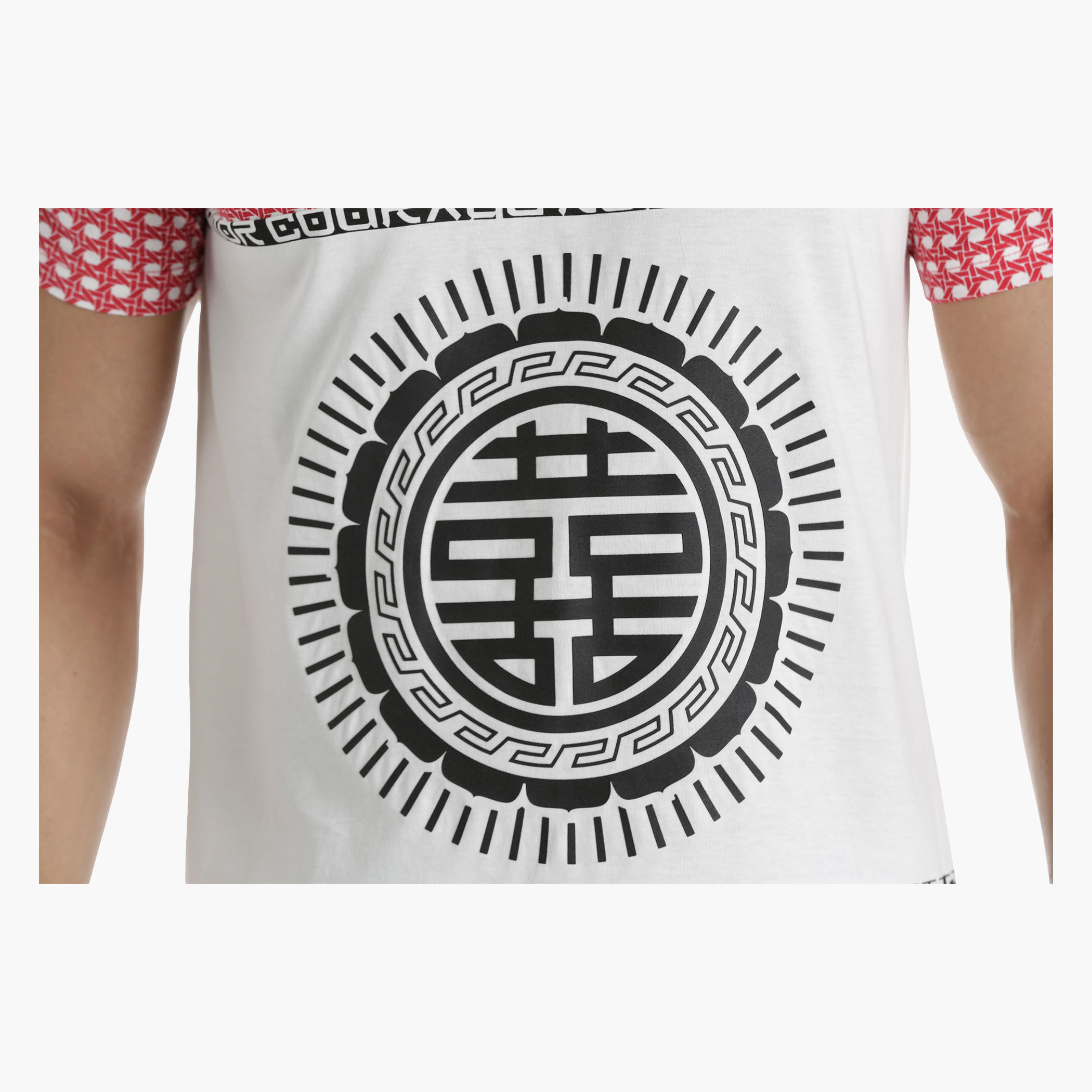 Cotton Printed T-Shirt with Contrast Cut-and-Sew Panels in Regular Fit-men-clothing-tshirtsandpolos-tshirts-image-4