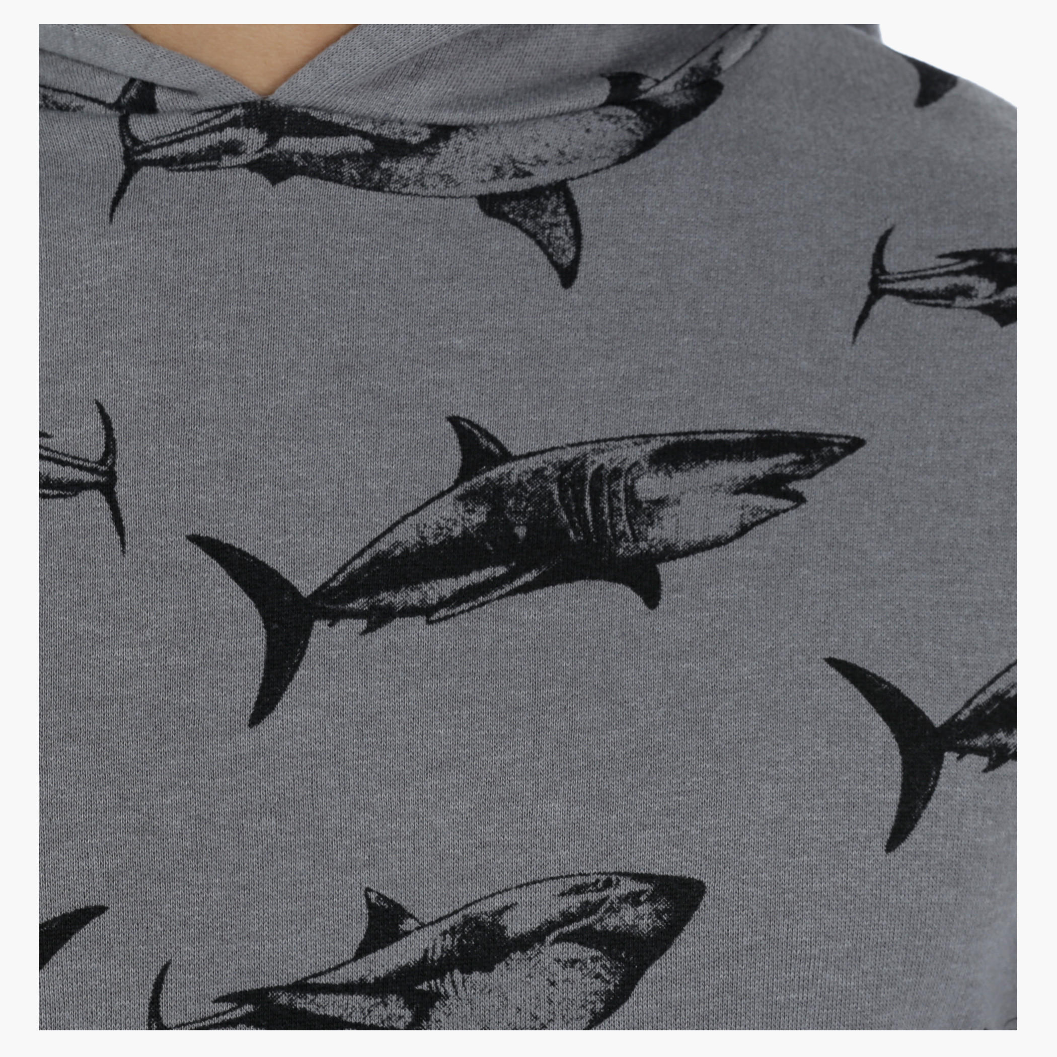 Printed Long Sleeves Sweatshirt with Hood-men-winterwear-hoodiesandsweatshirts-image-4