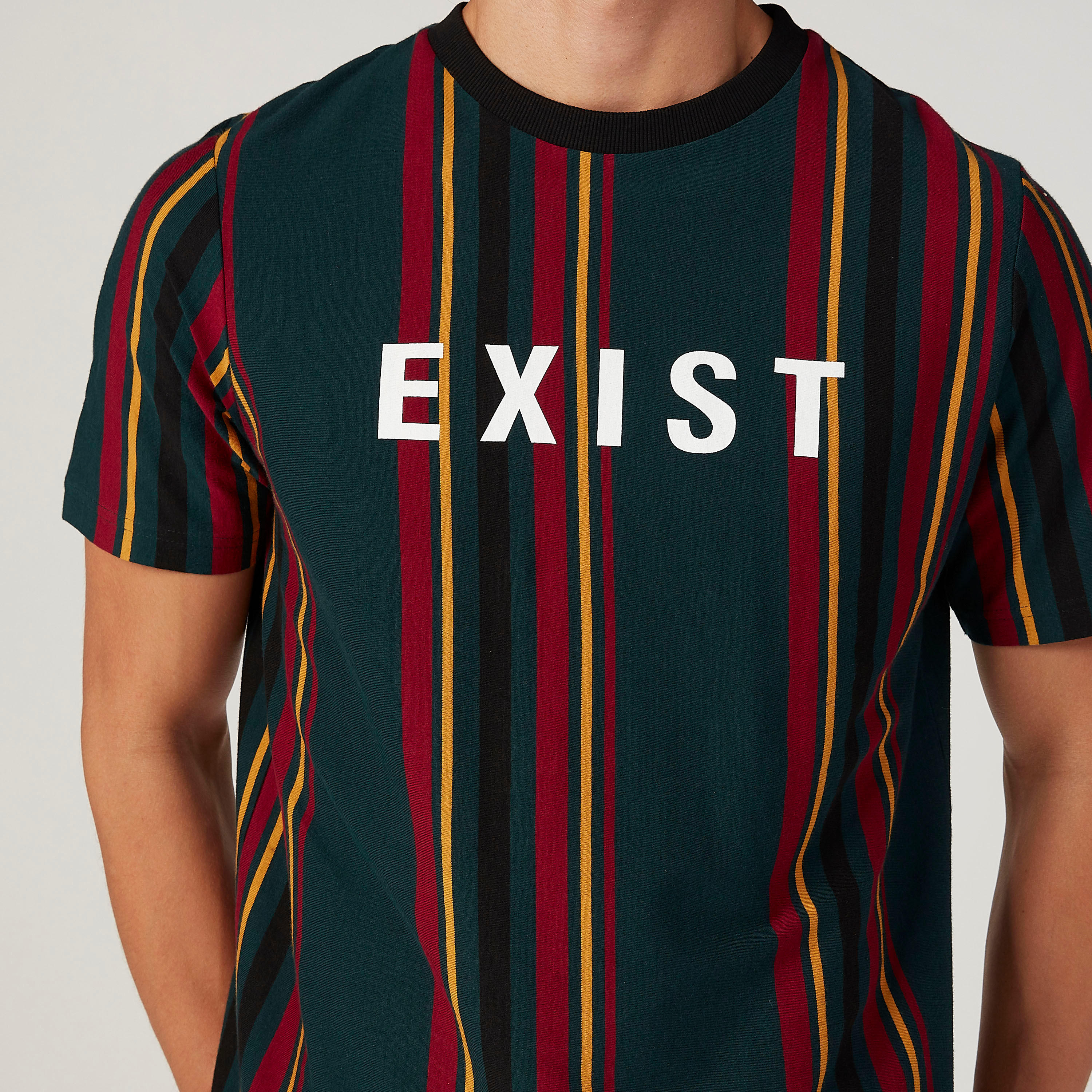 تيشيرت مقلّم بياقة مستديرة وأكمام قصيرة-men-clothing-tshirtsandpolos-tshirts-image-4