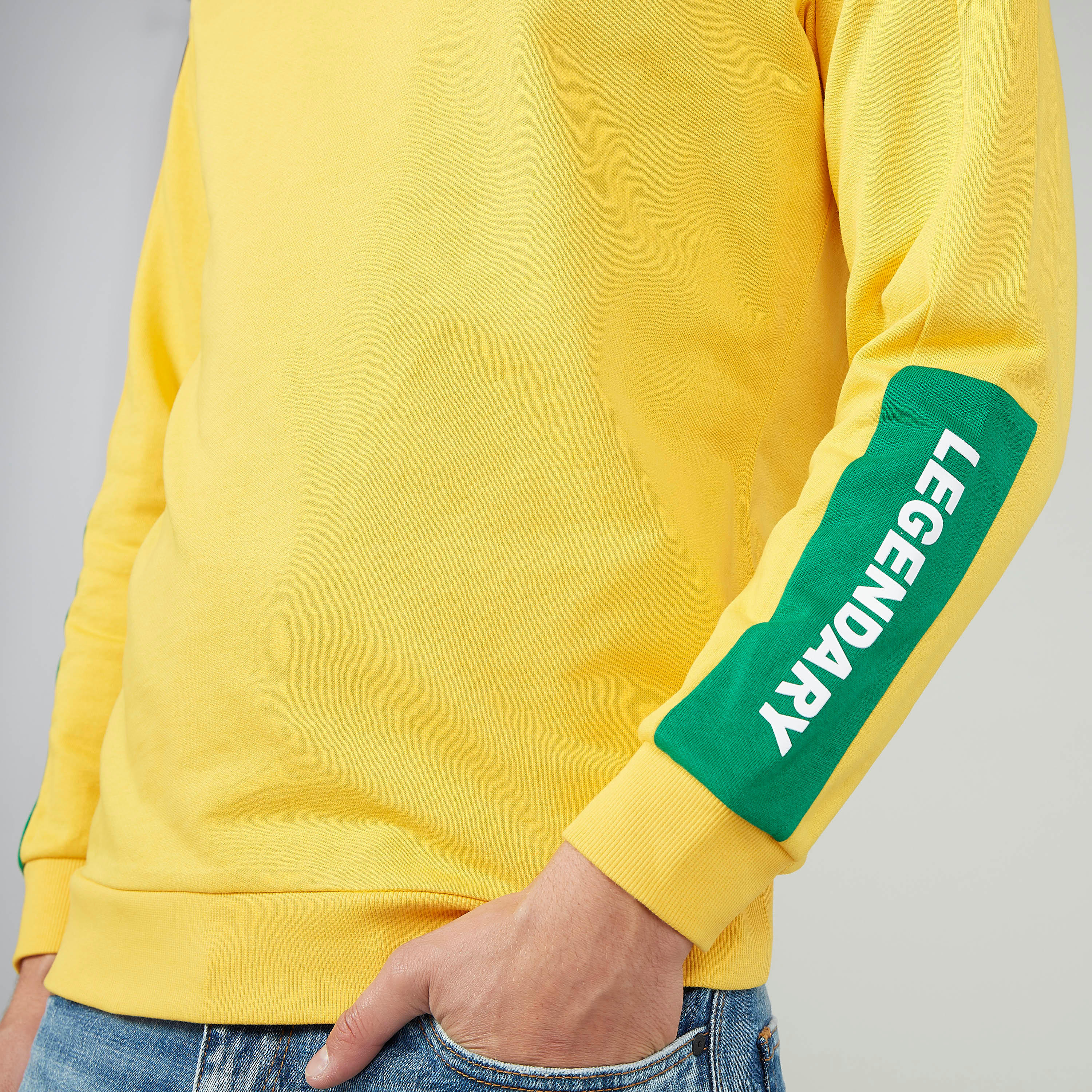 Slim Fit Printed Sweater with Crew Neck and Long Sleeves-men-winterwear-hoodiesandsweatshirts-image-3