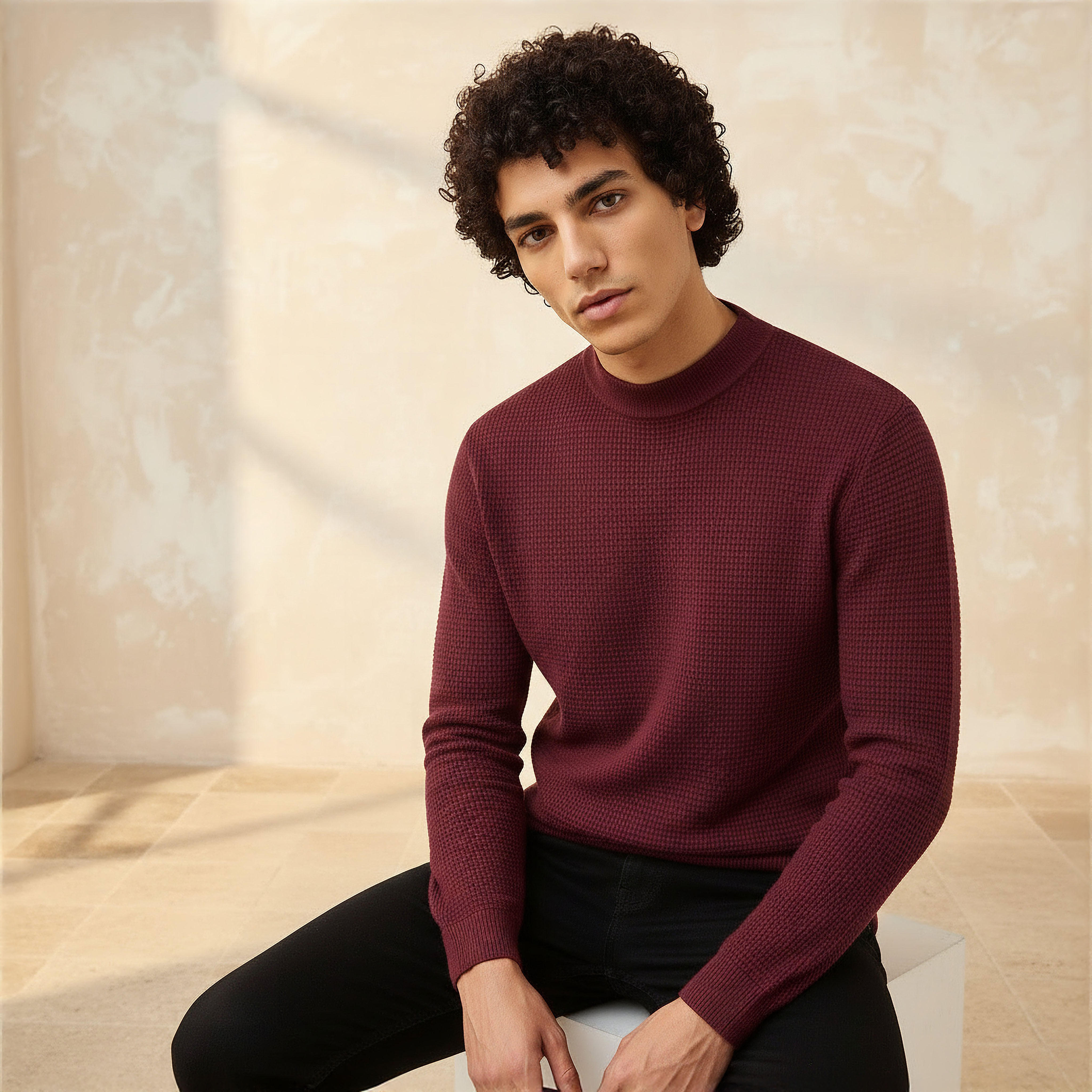 Men High Neck Textured Sweater-men-clothing-sweatersandpullovers-image-1